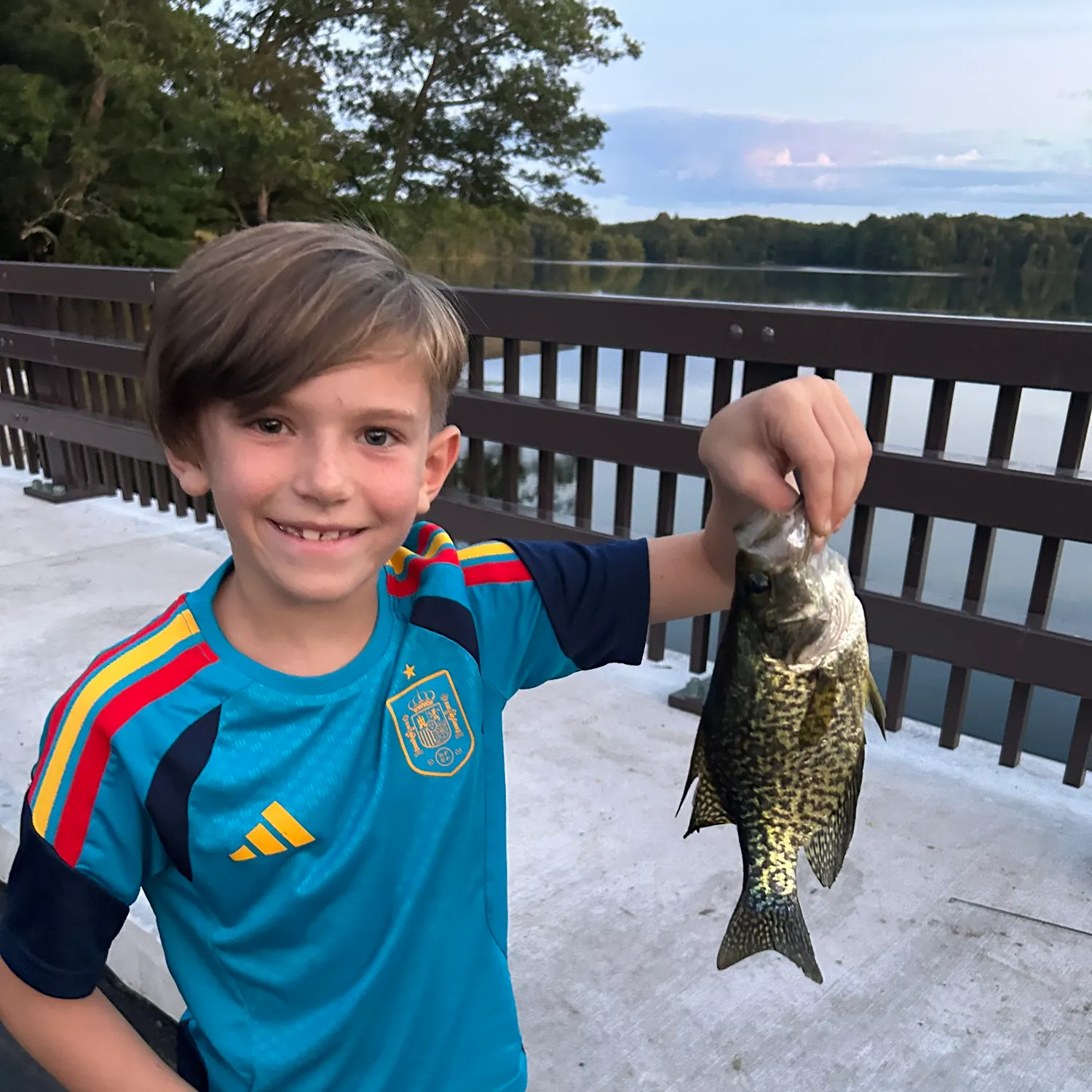 Black crappie caught on Fishbrain
