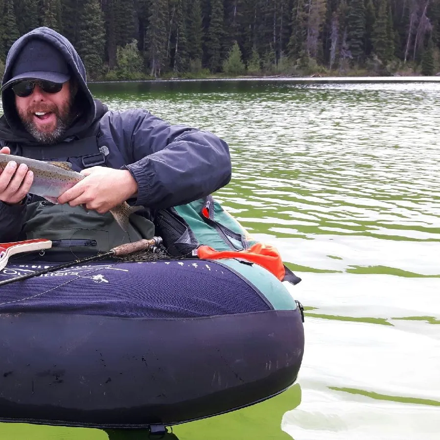 Rainbow trout caught on Fishbrain
