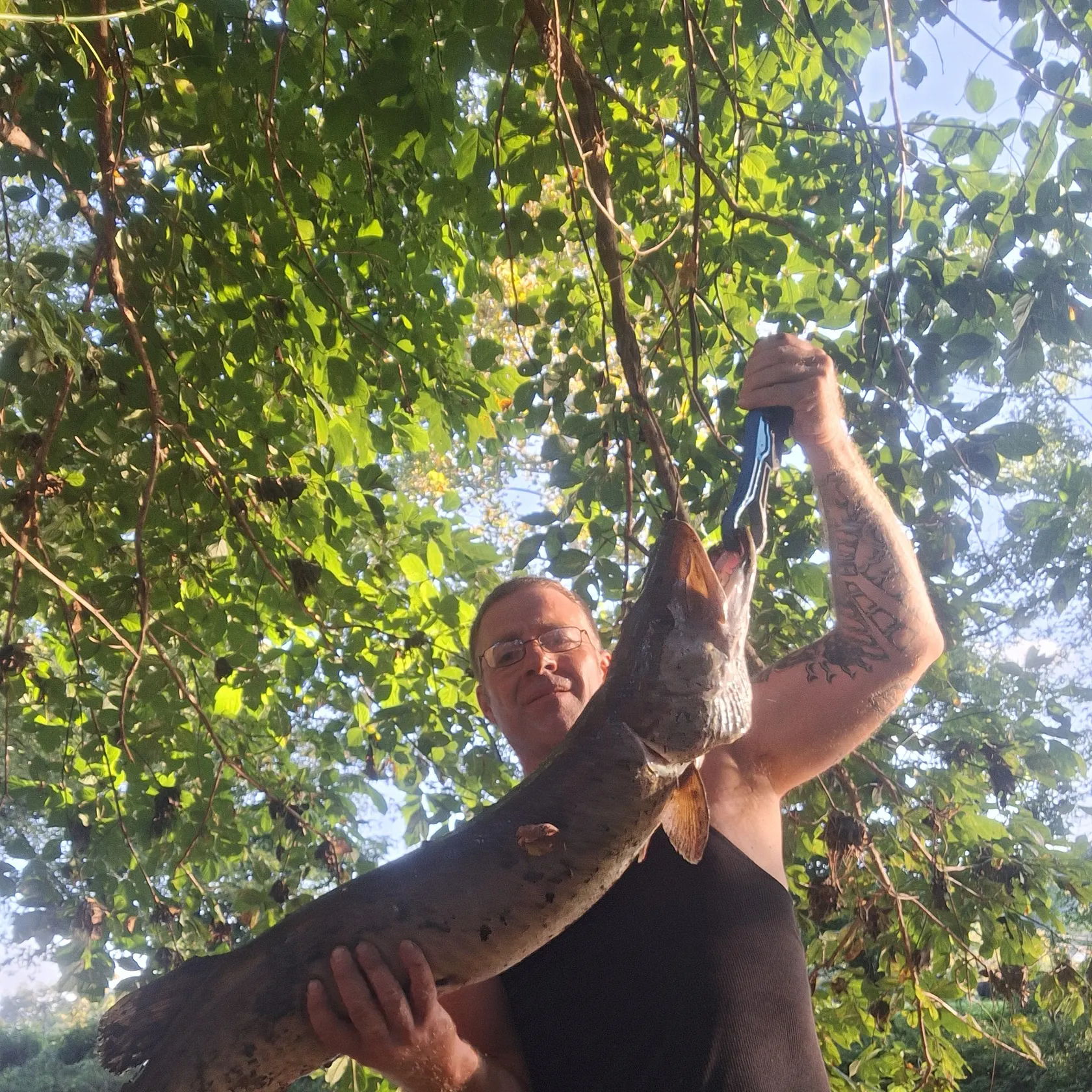 Muskie caught on Fishbrain