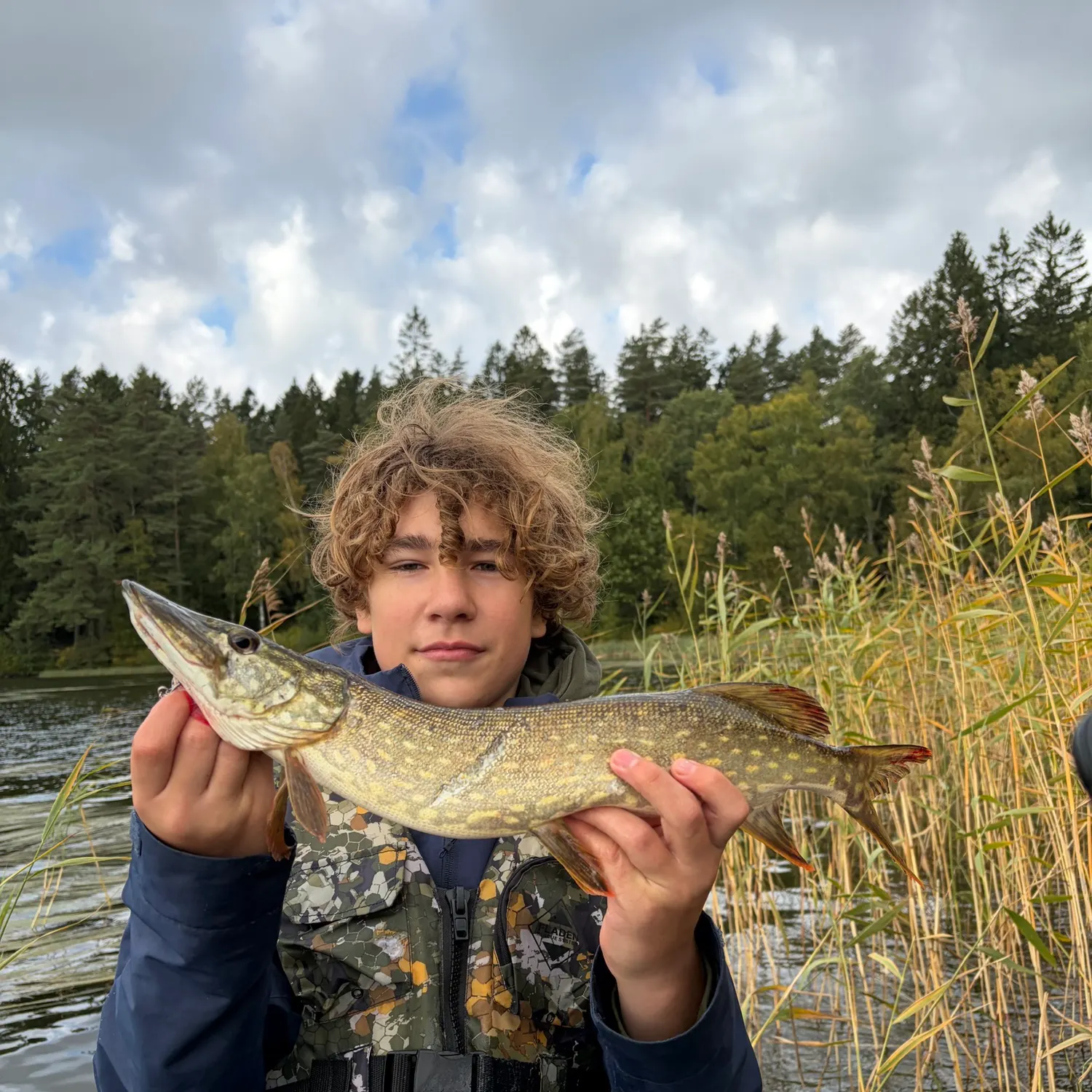 Northern pike caught on Fishbrain