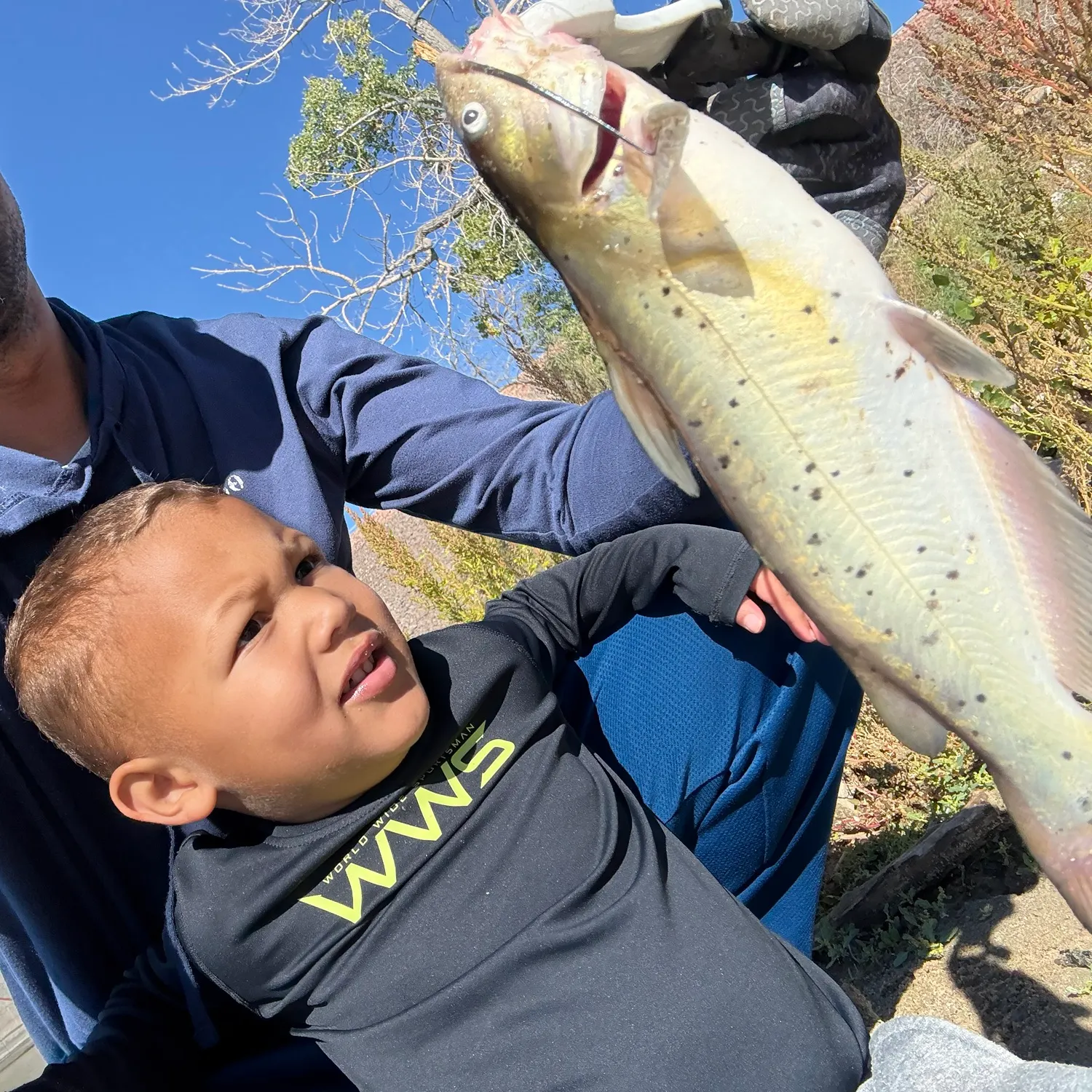 Channel catfish caught on Fishbrain