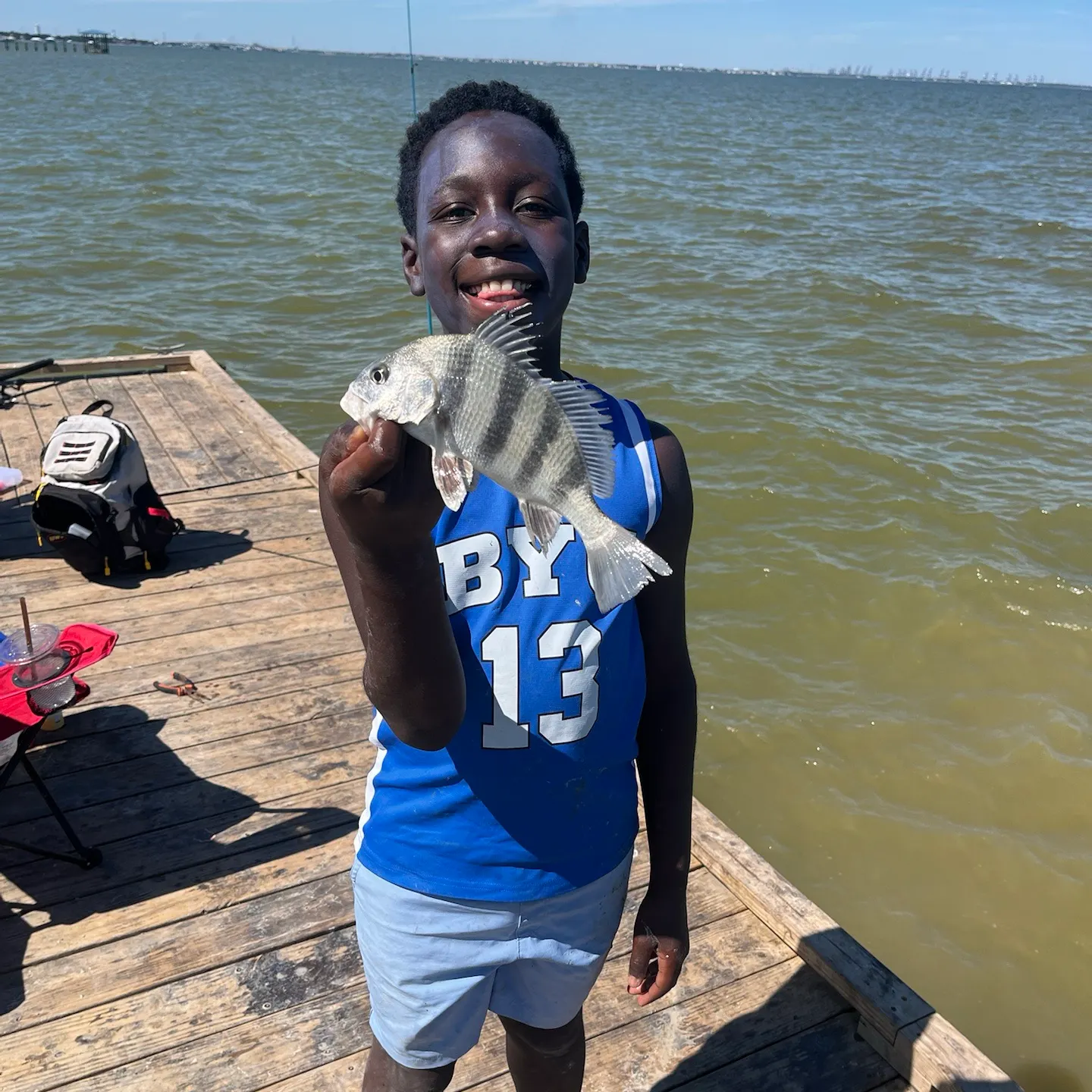 Black drum caught on Fishbrain