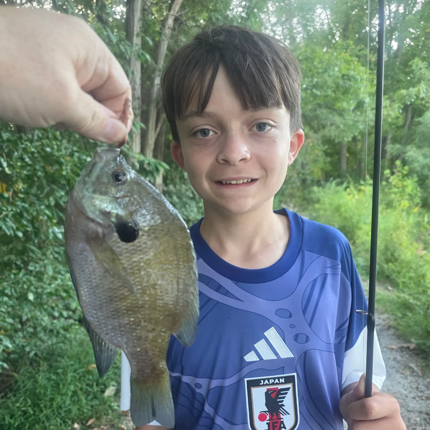 Bluegill caught on Fishbrain