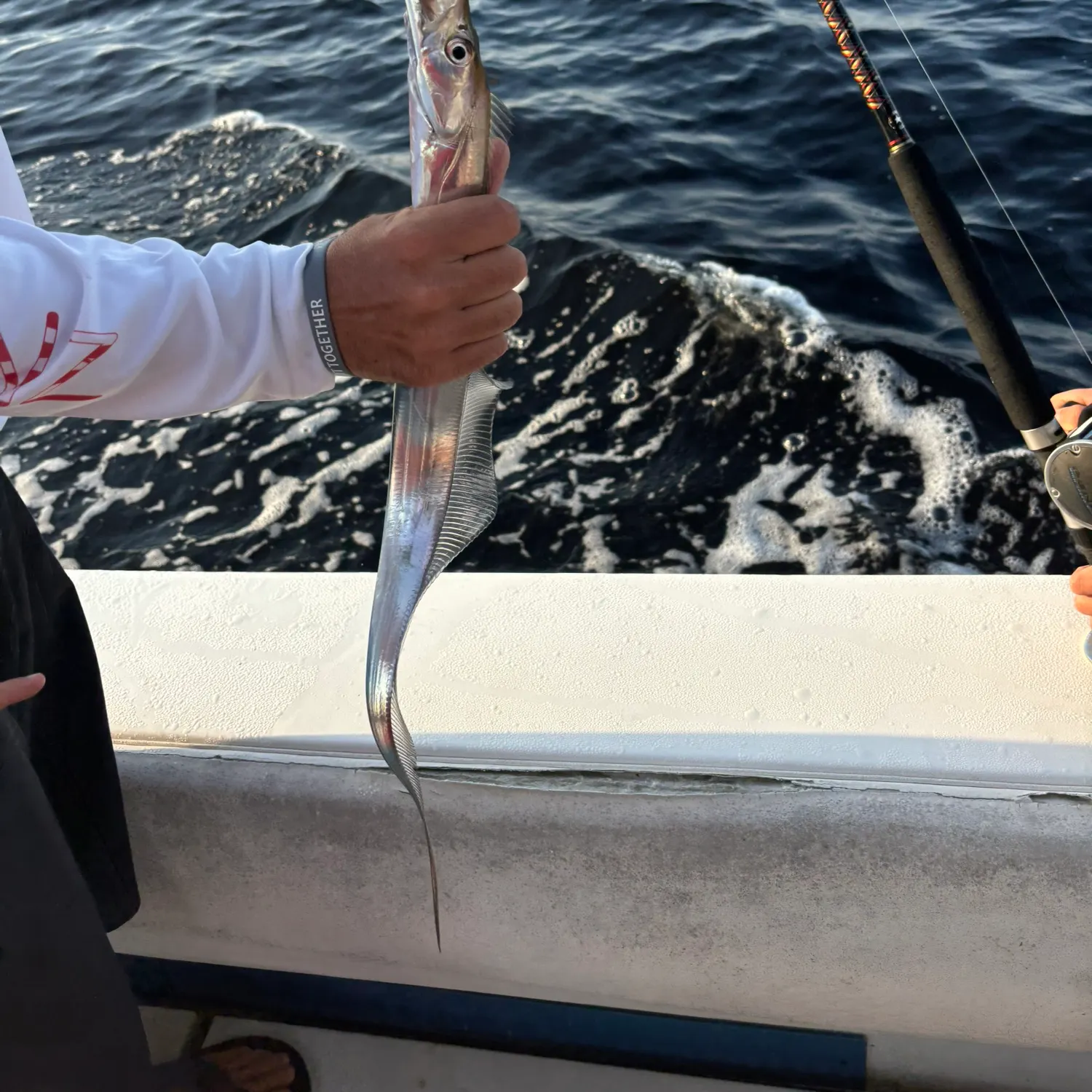 The most recent Silver scabbardfish catches on Fishbrain