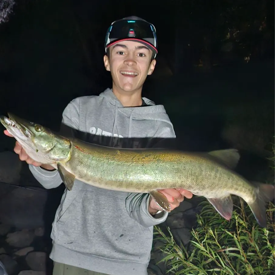 Muskie caught on Fishbrain