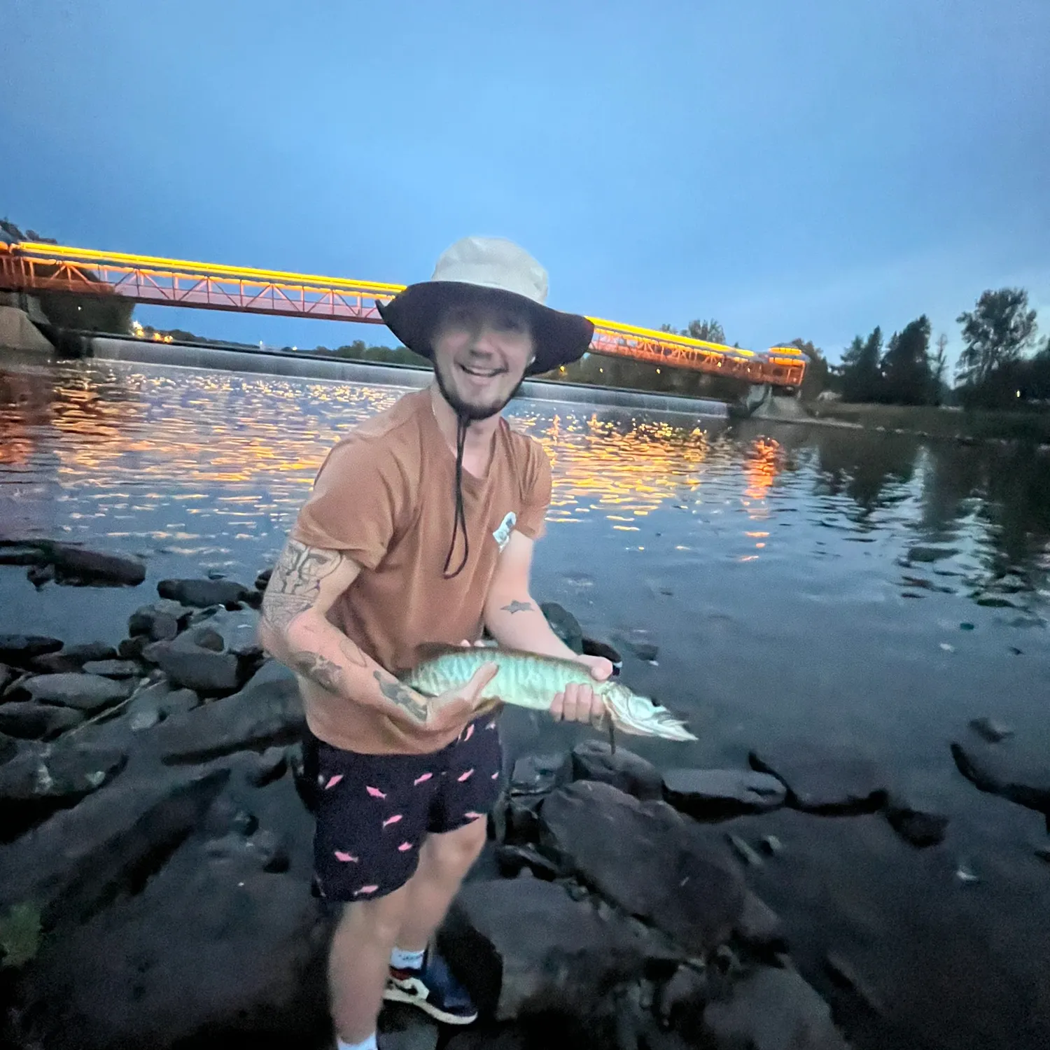 recently logged catches