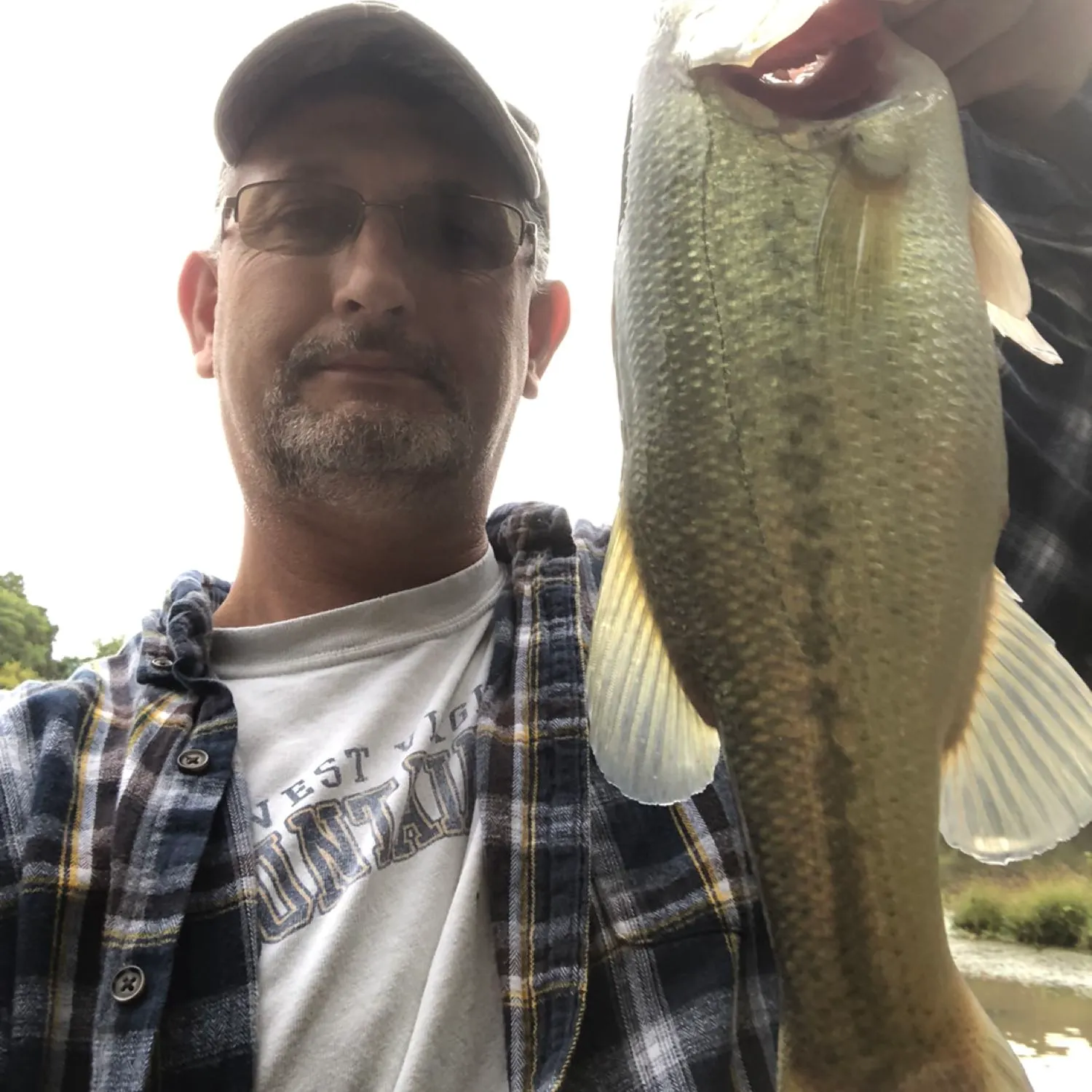 angler catch