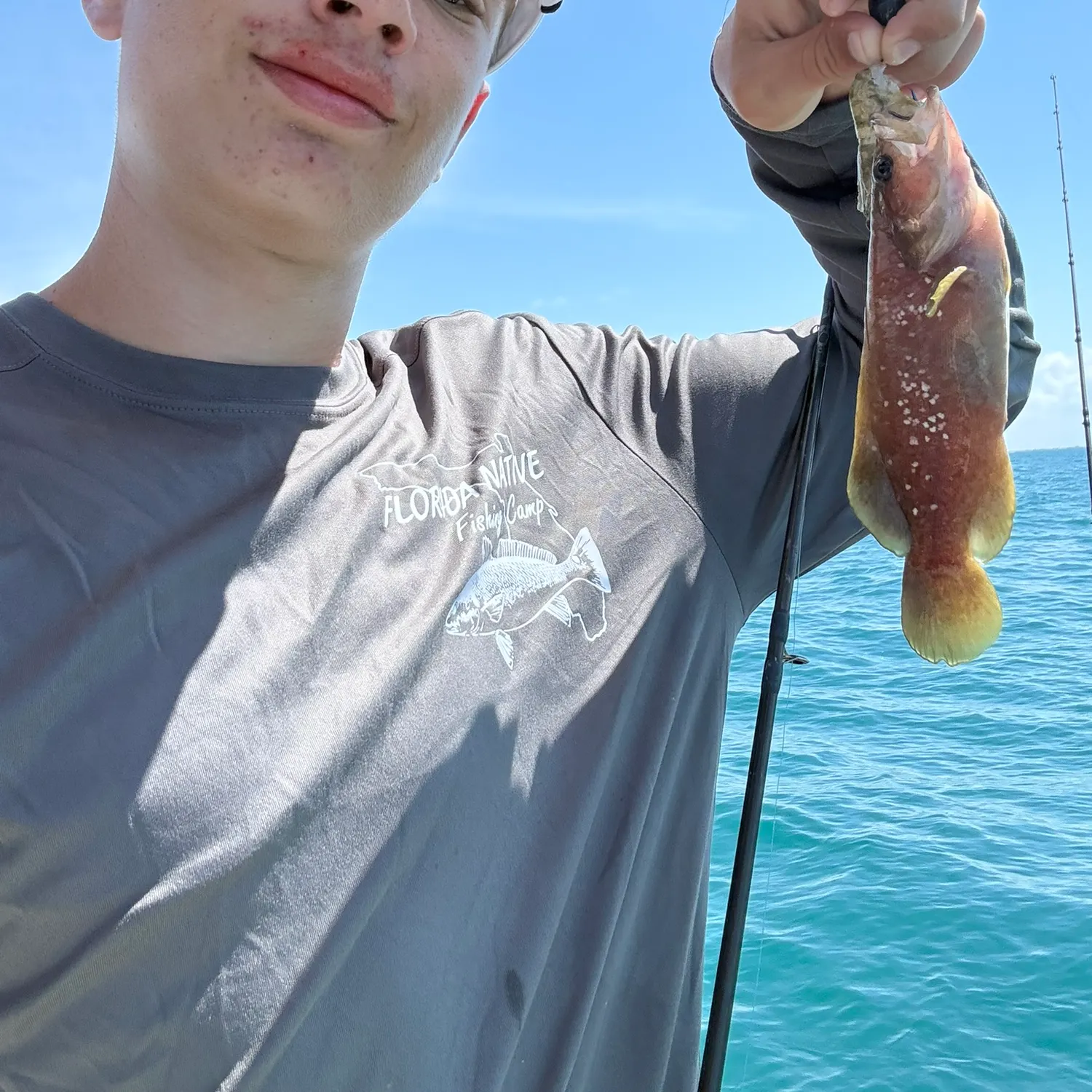 The most recent Whitespotted soapfish catches on Fishbrain