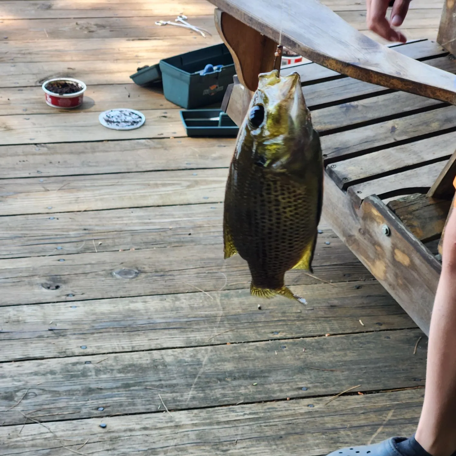 catch