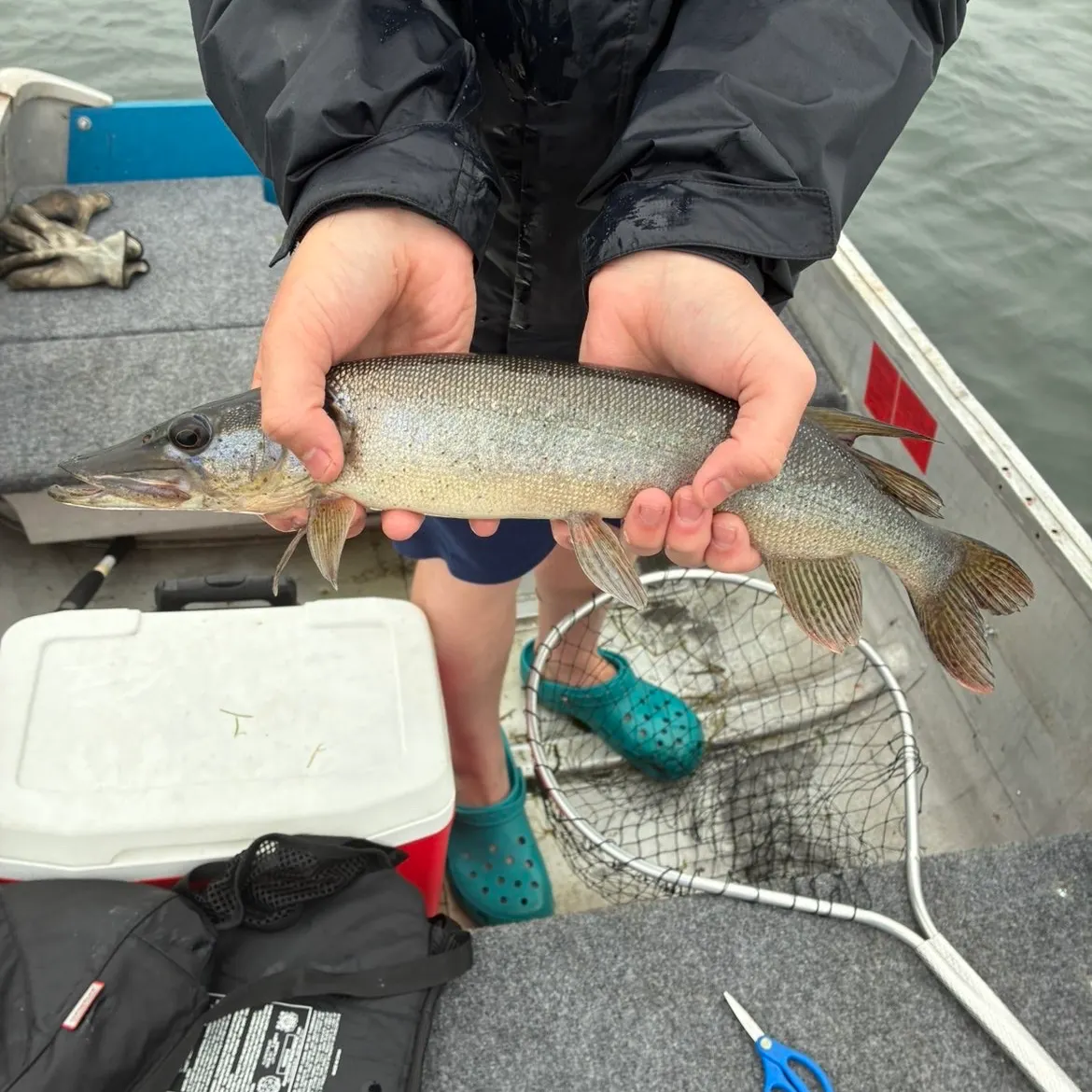 The most recent Silver pike catches on Fishbrain