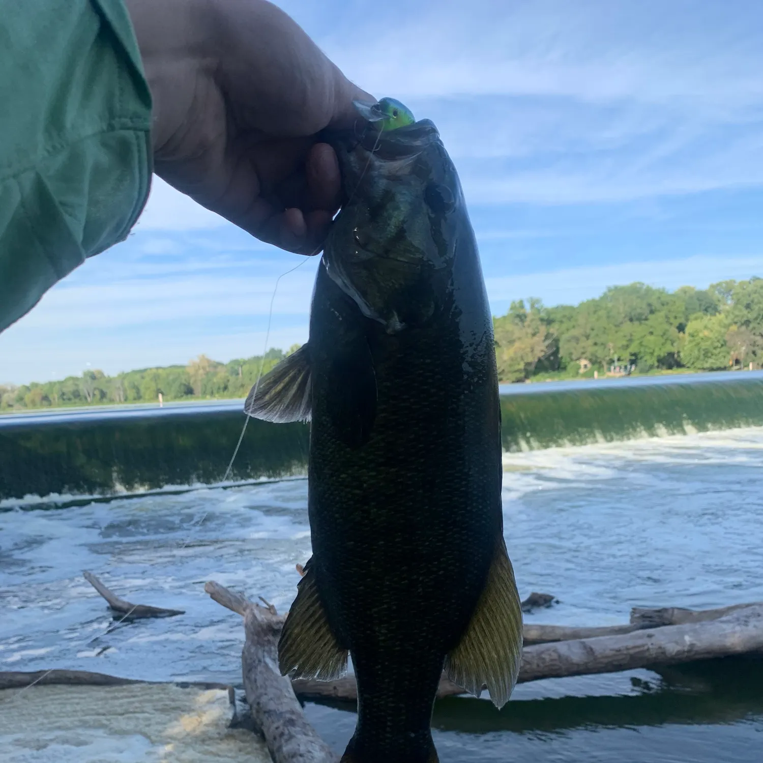 Smallmouth bass caught on Fishbrain