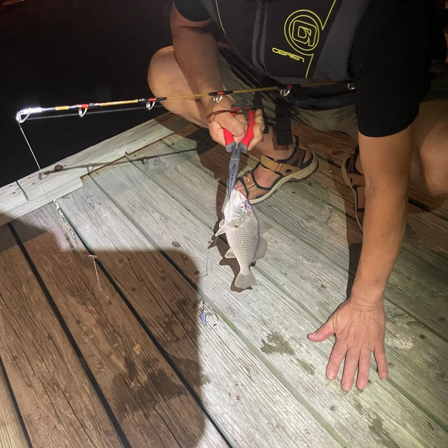catch