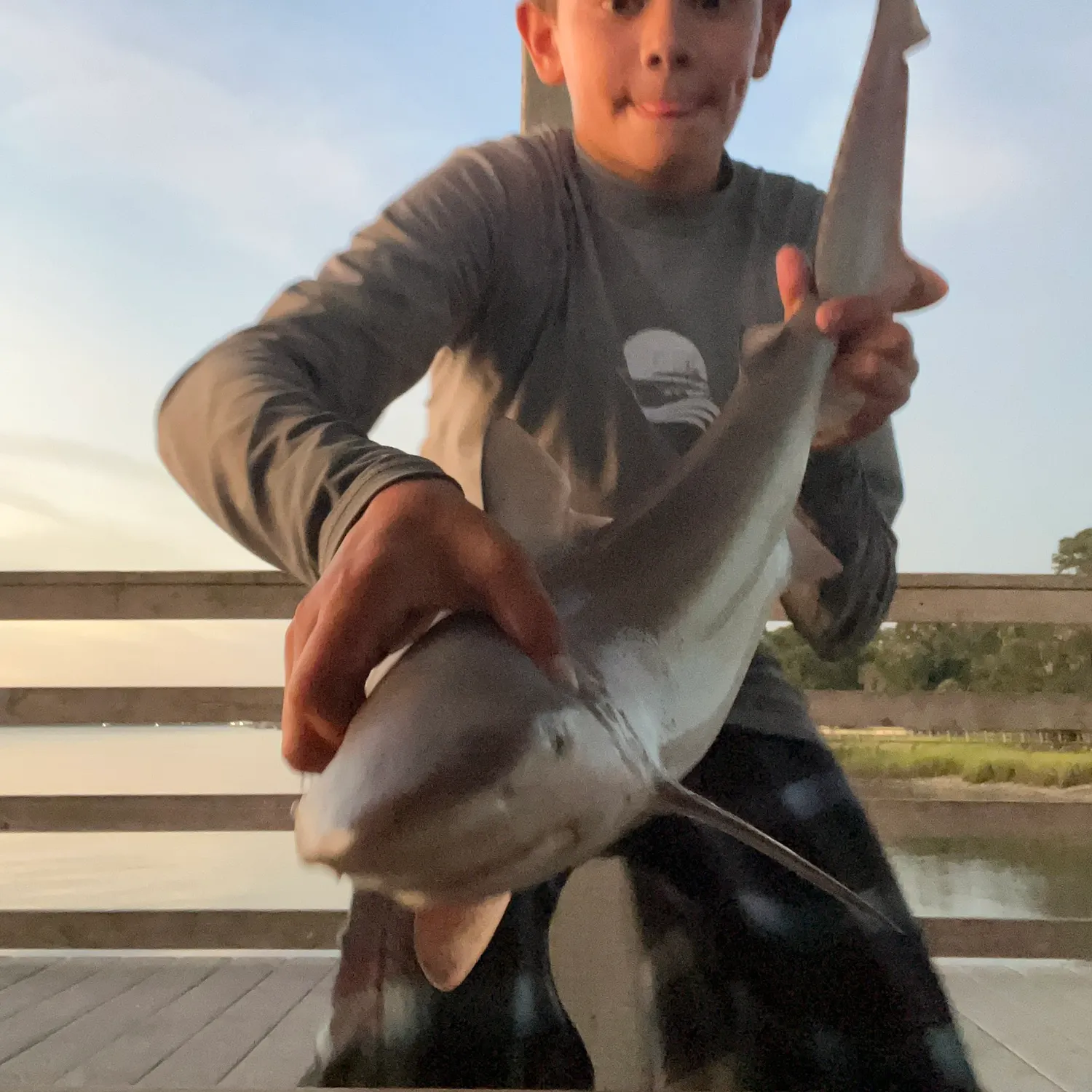 The most recent Finetooth shark catches on Fishbrain