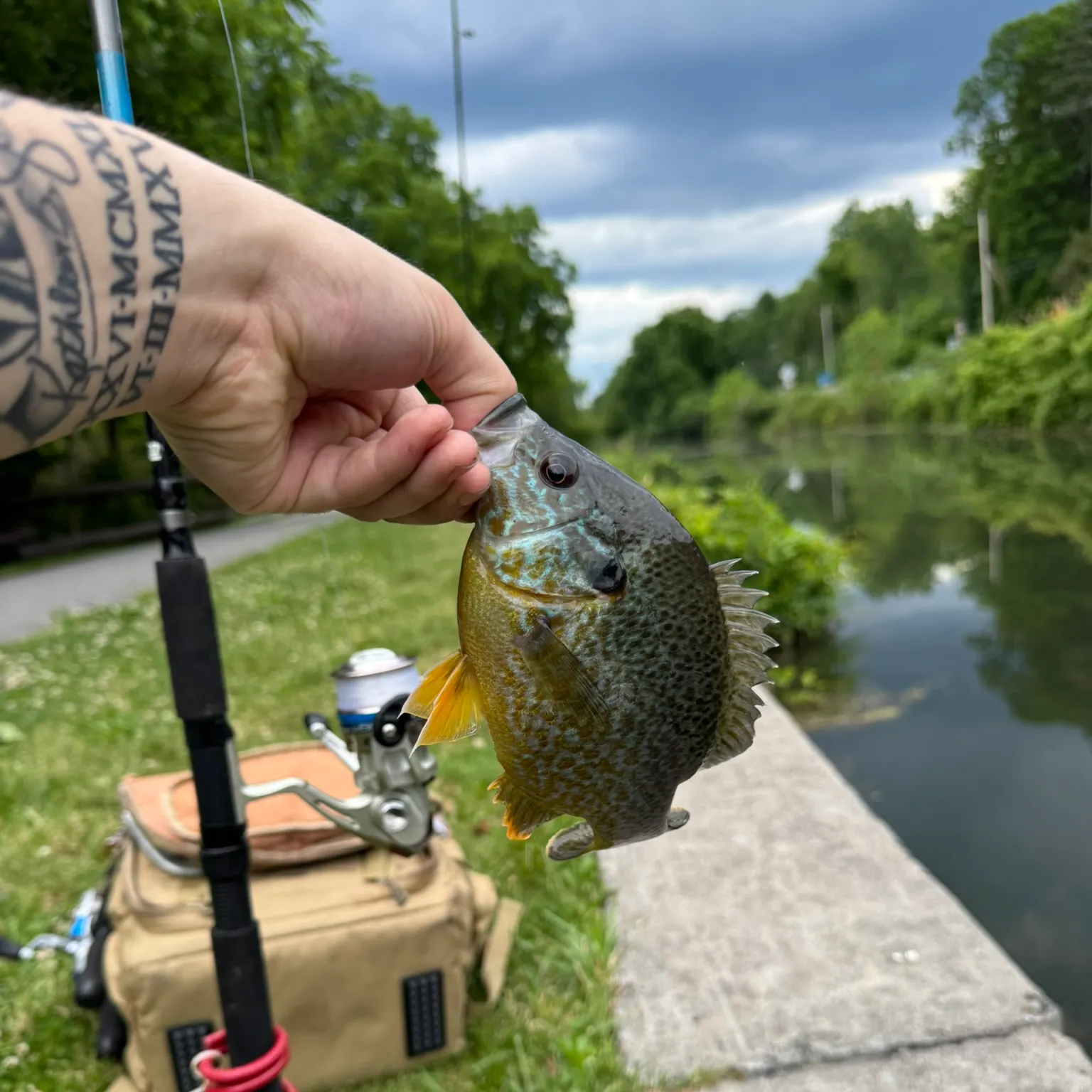 catch