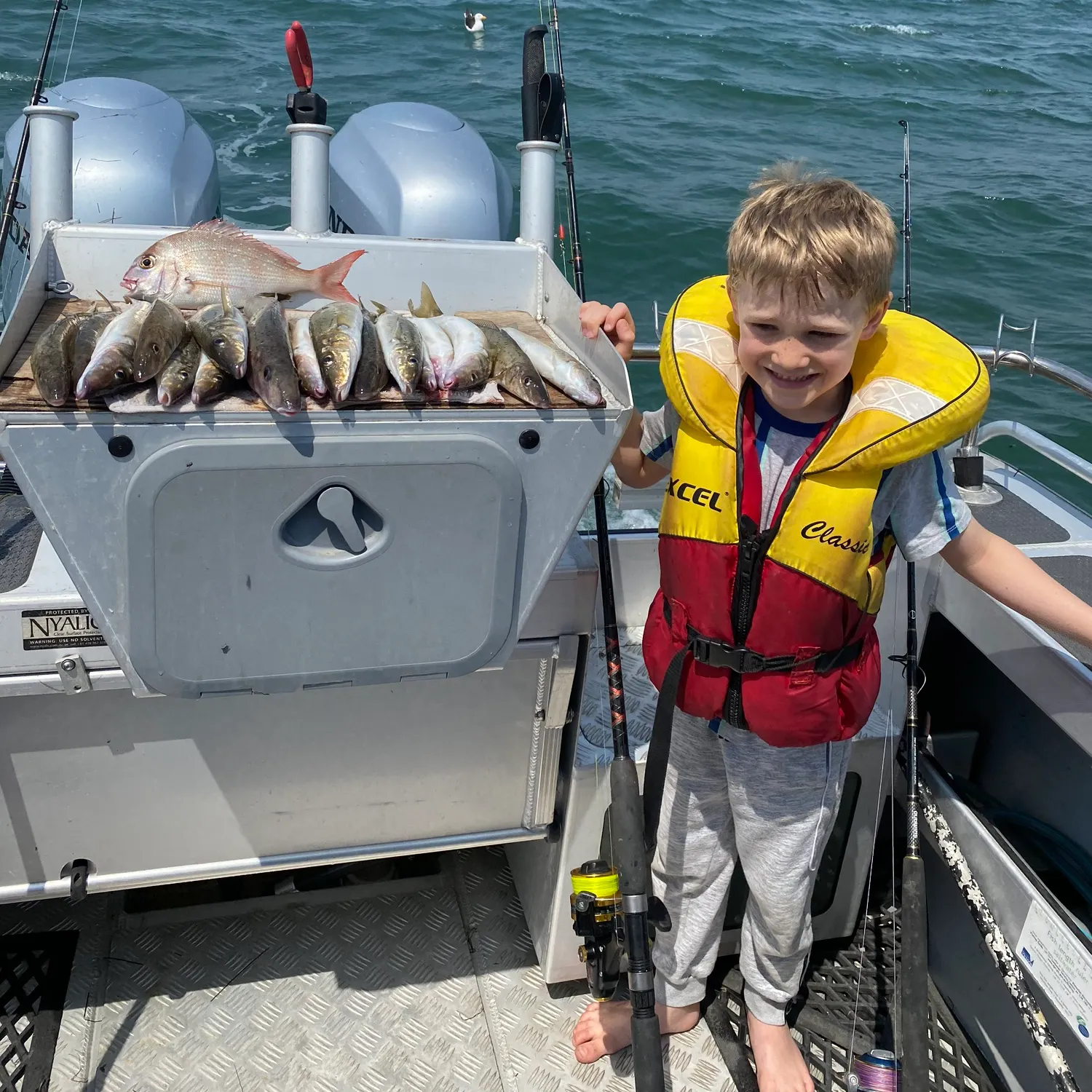 The most recent King George whiting catches on Fishbrain