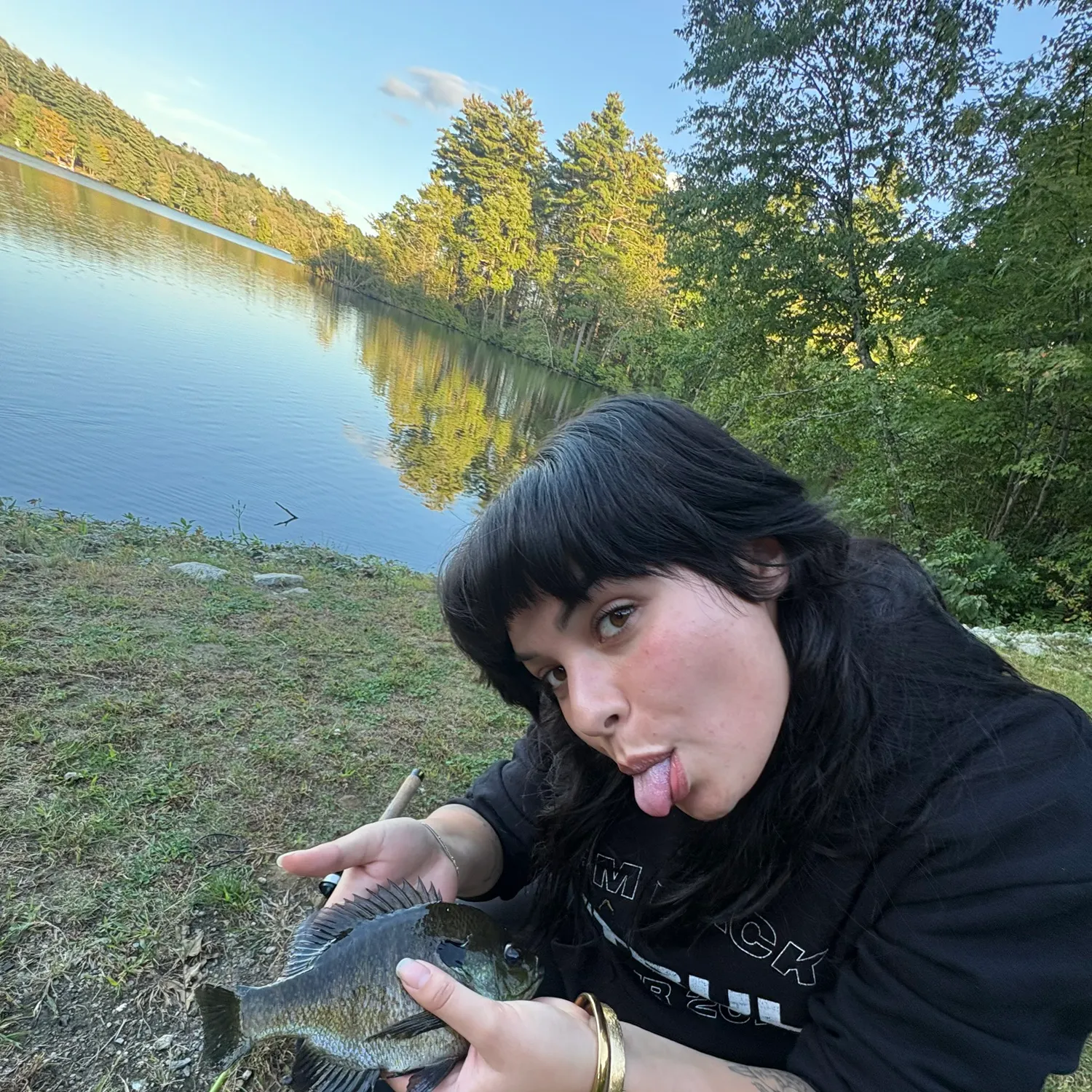 Bluegill caught on Fishbrain