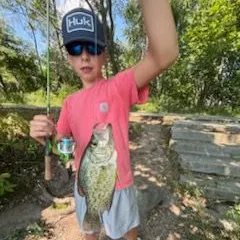 Black crappie caught on Fishbrain