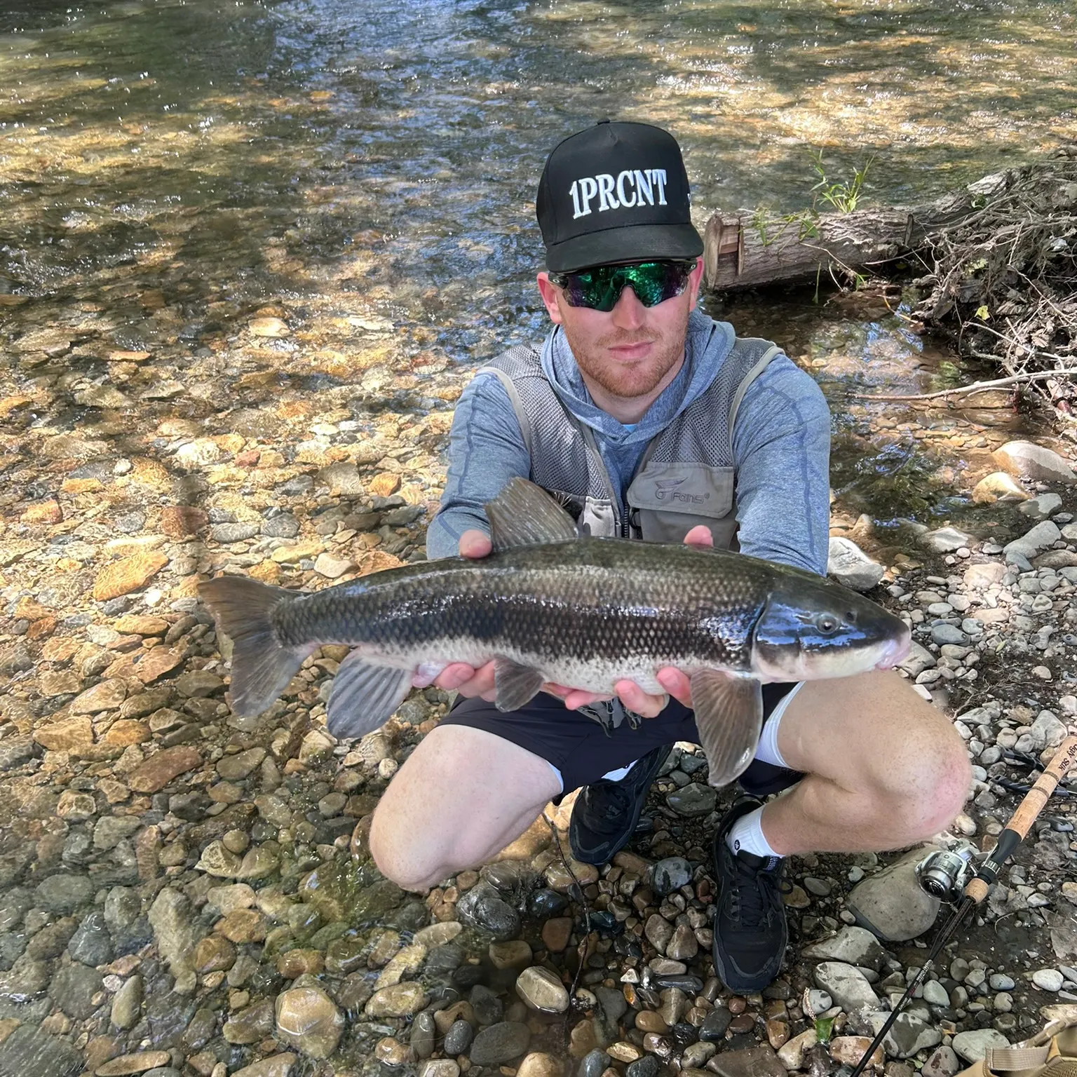 The most recent June sucker catches on Fishbrain