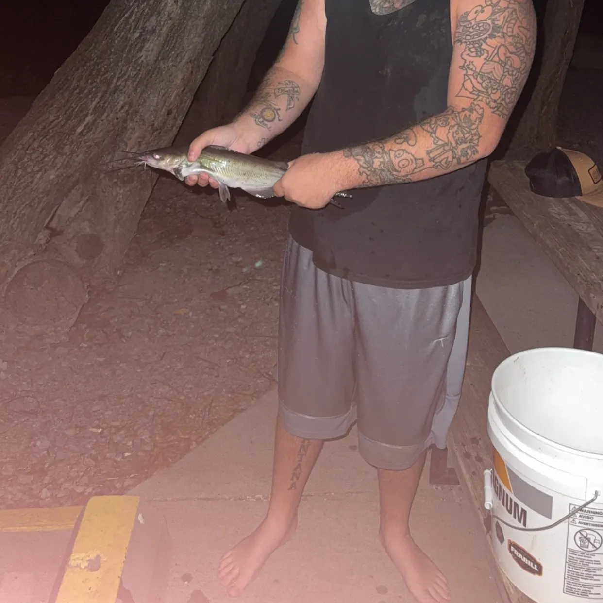 The most recent Channel catfish catches on Fishbrain