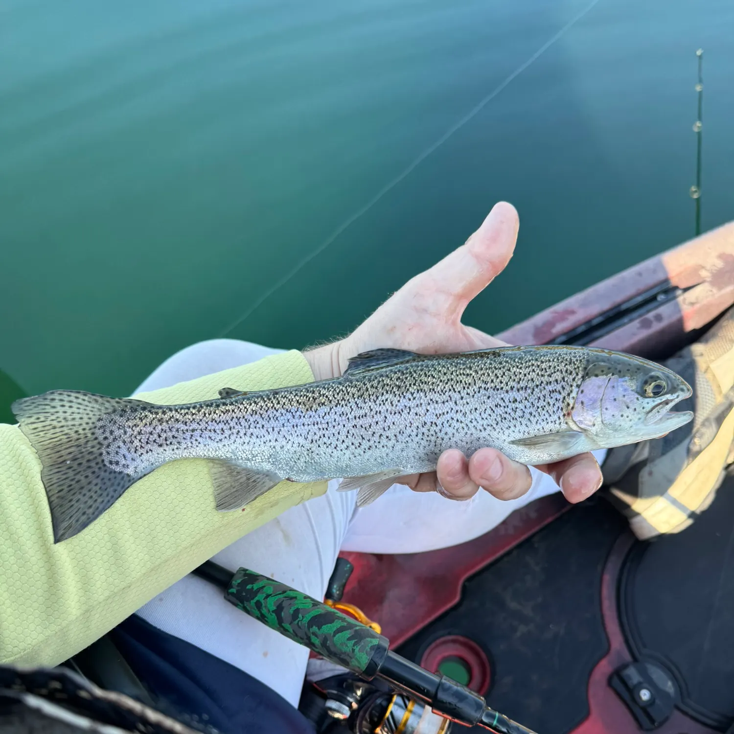 ᐅ Cherry Lake fishing reports🎣• Sonora, CA (United States