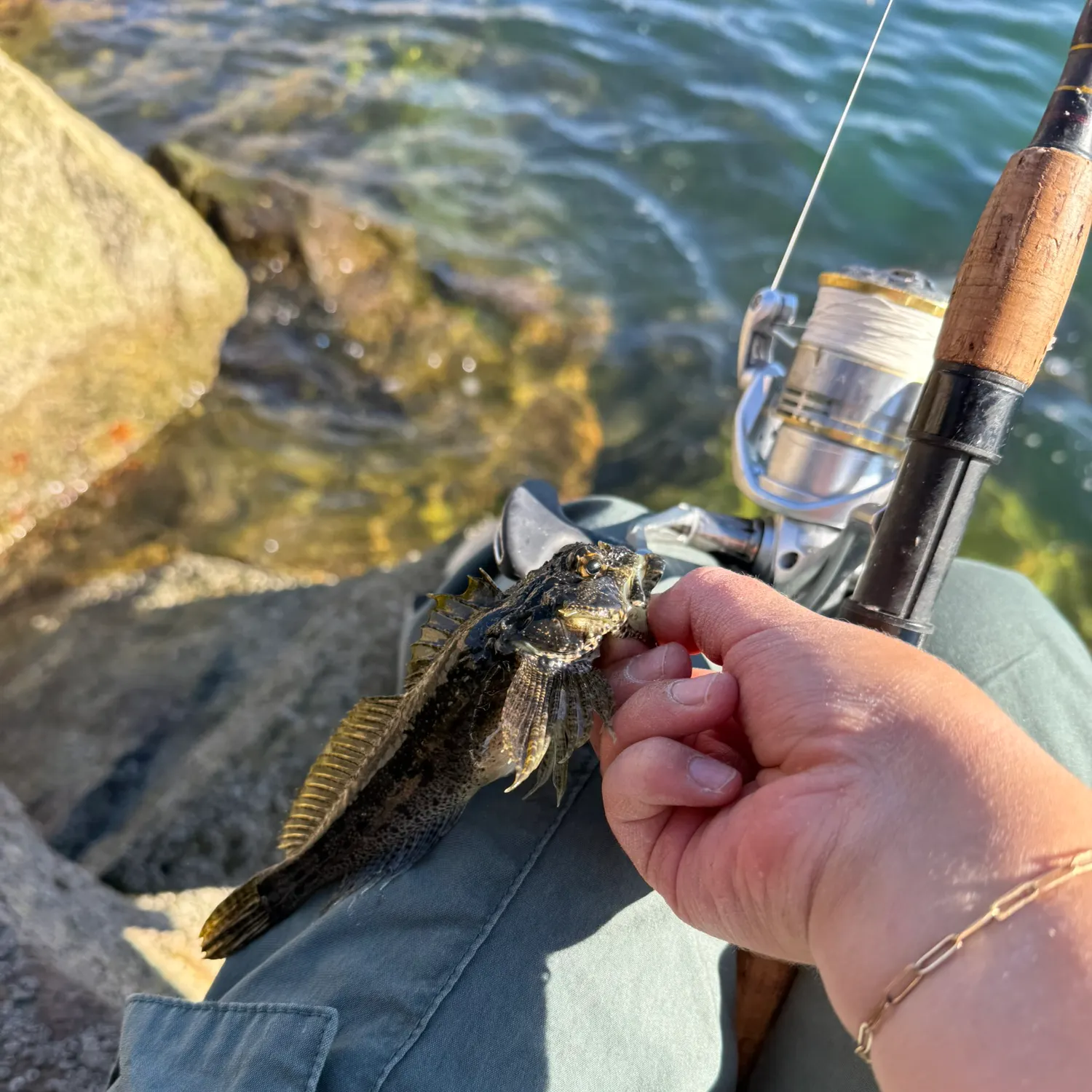 The most recent Woolly sculpin catches on Fishbrain