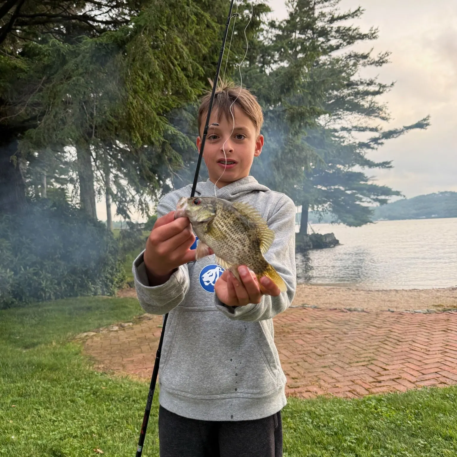 Rock bass caught on Fishbrain