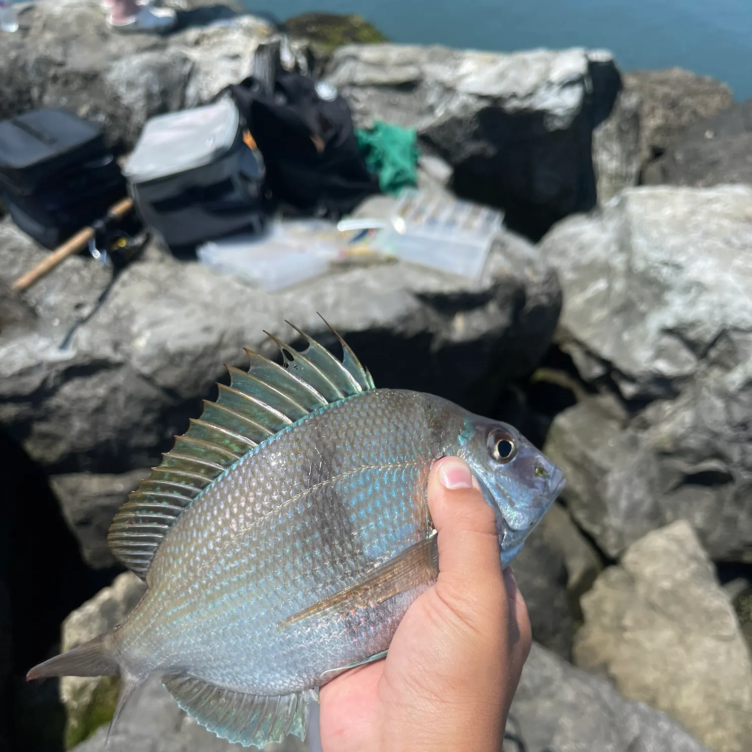 catch