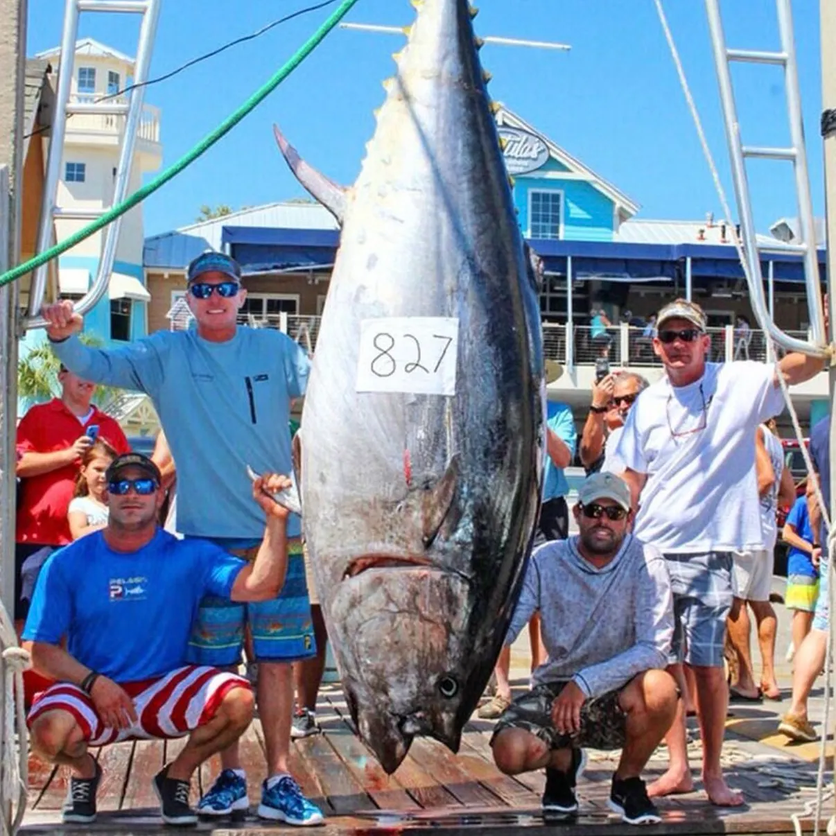 The most recent Pacific bluefin tuna catches on Fishbrain