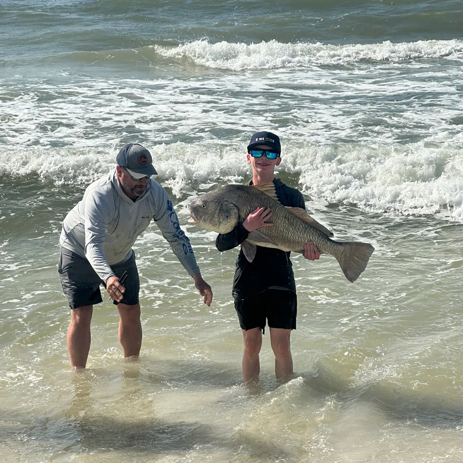 The most recent Black drum catches on Fishbrain