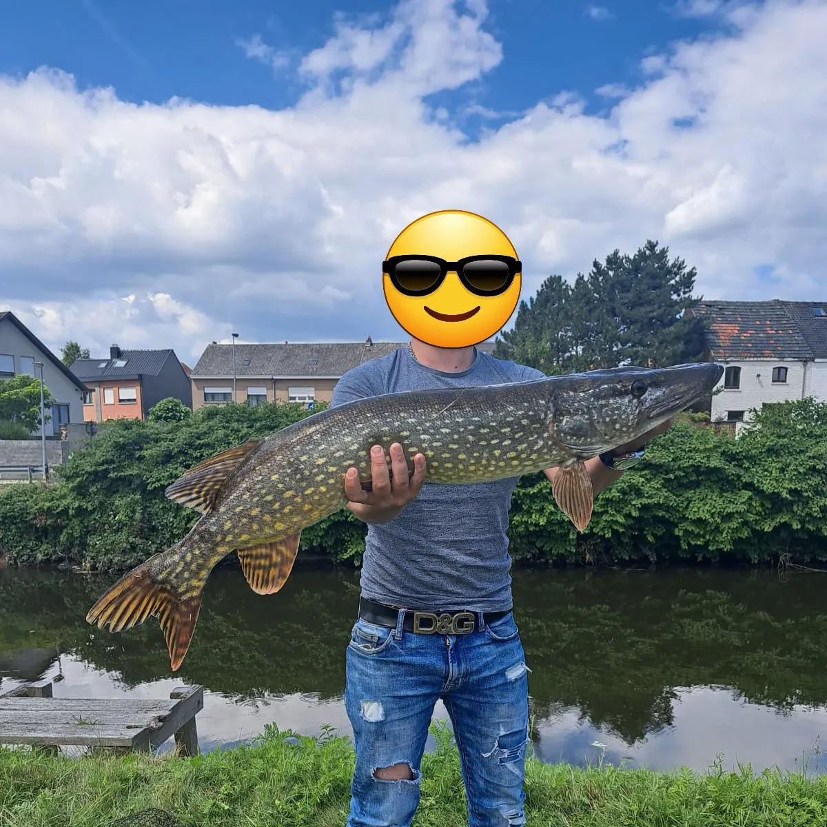 Northern pike caught on Fishbrain