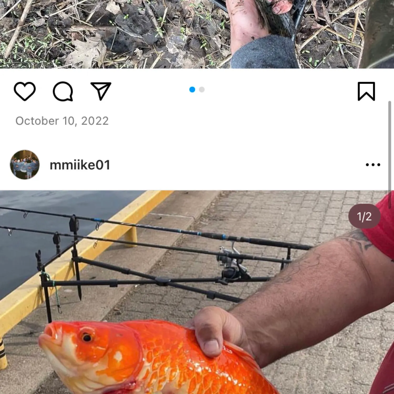 recently logged catches