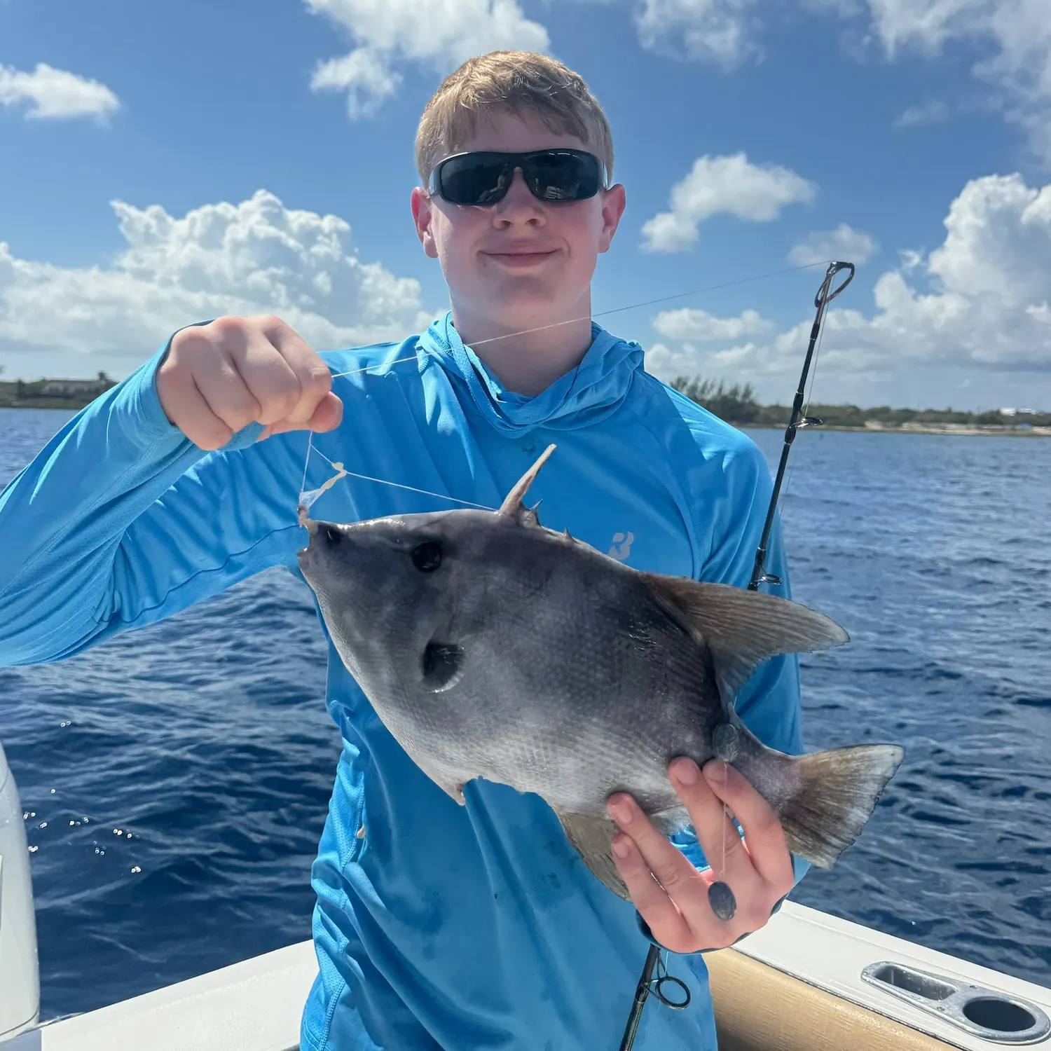 The most recent Ocean triggerfish catches on Fishbrain