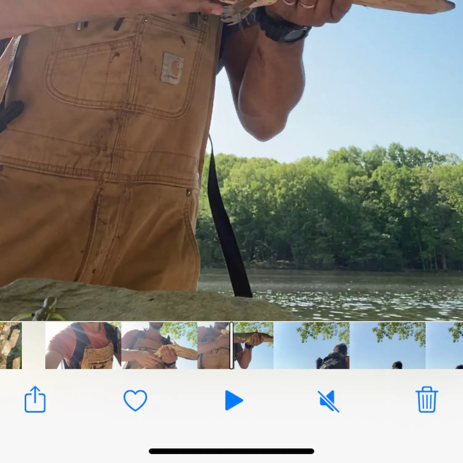 recently logged catches