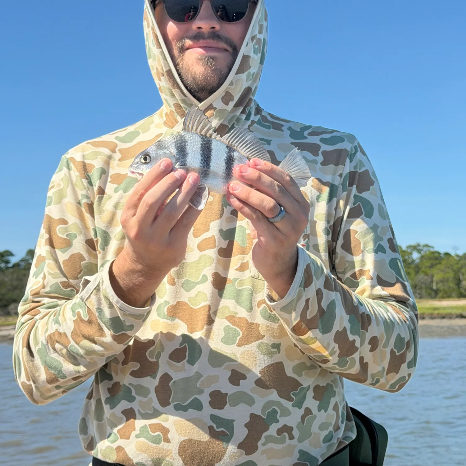 Black drum caught on Fishbrain