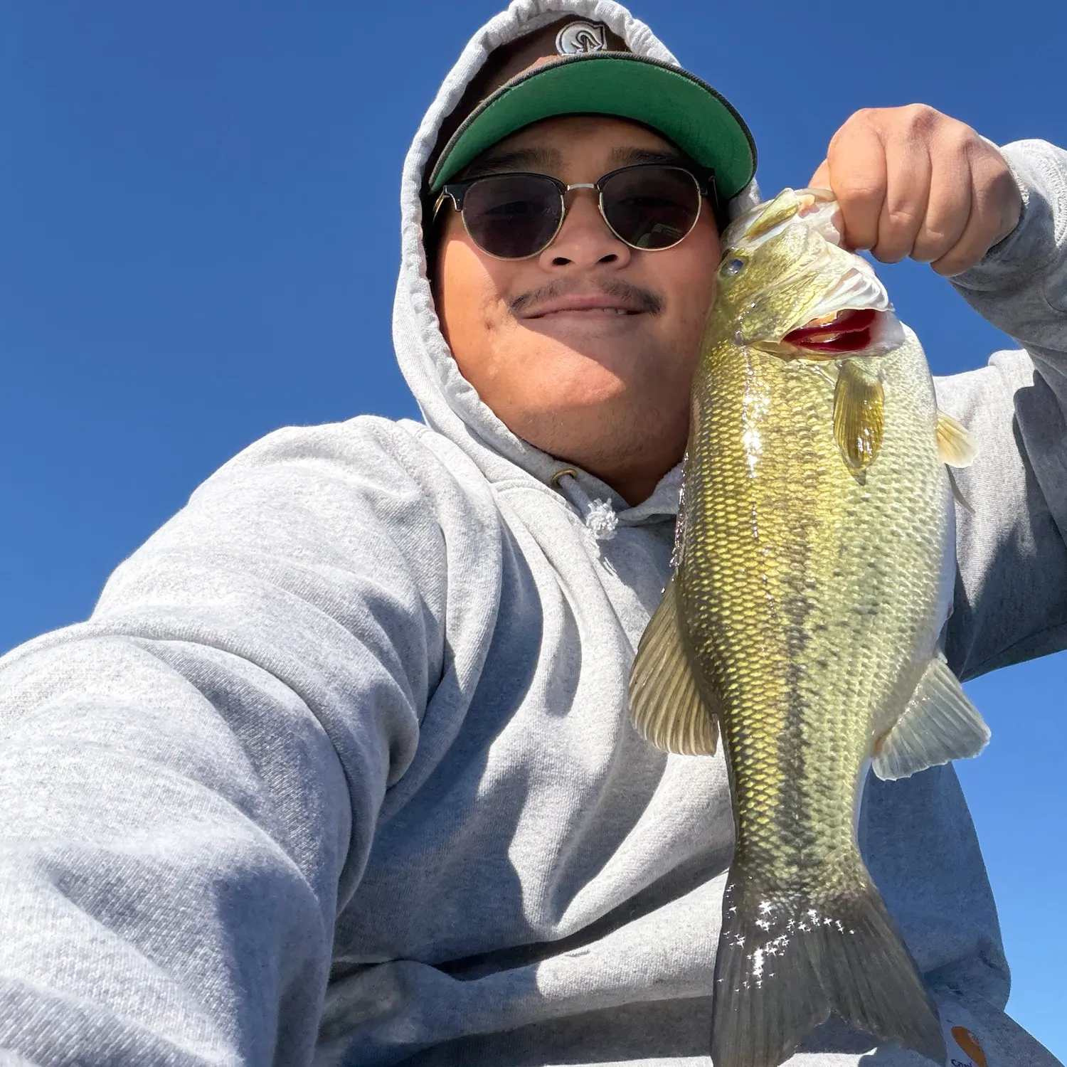 Largemouth bass caught on Fishbrain