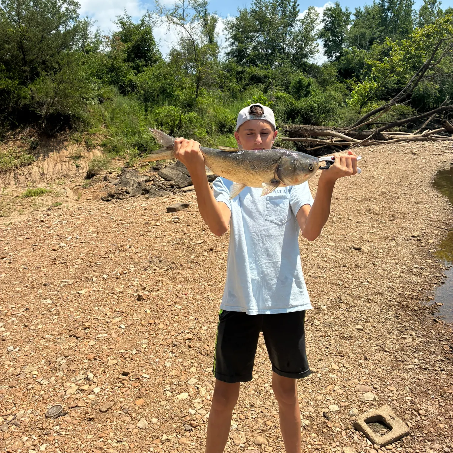 The most recent Silver carp catches on Fishbrain