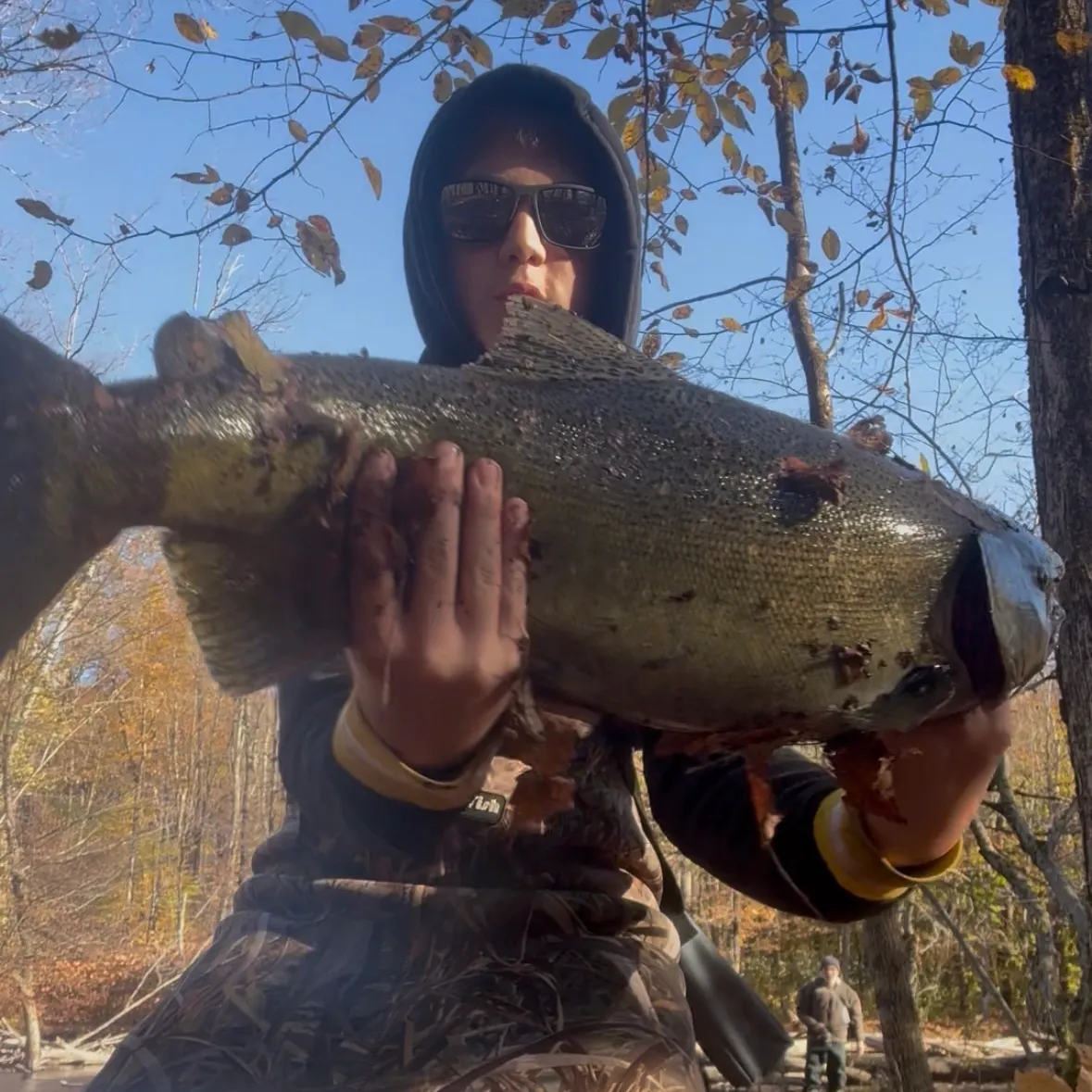 Chinook salmon caught on Fishbrain