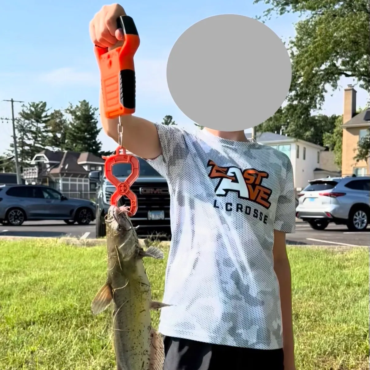 Channel catfish caught on Fishbrain