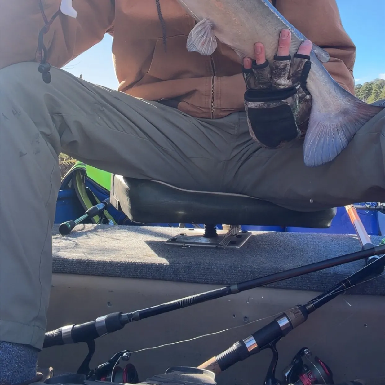 recently logged catches