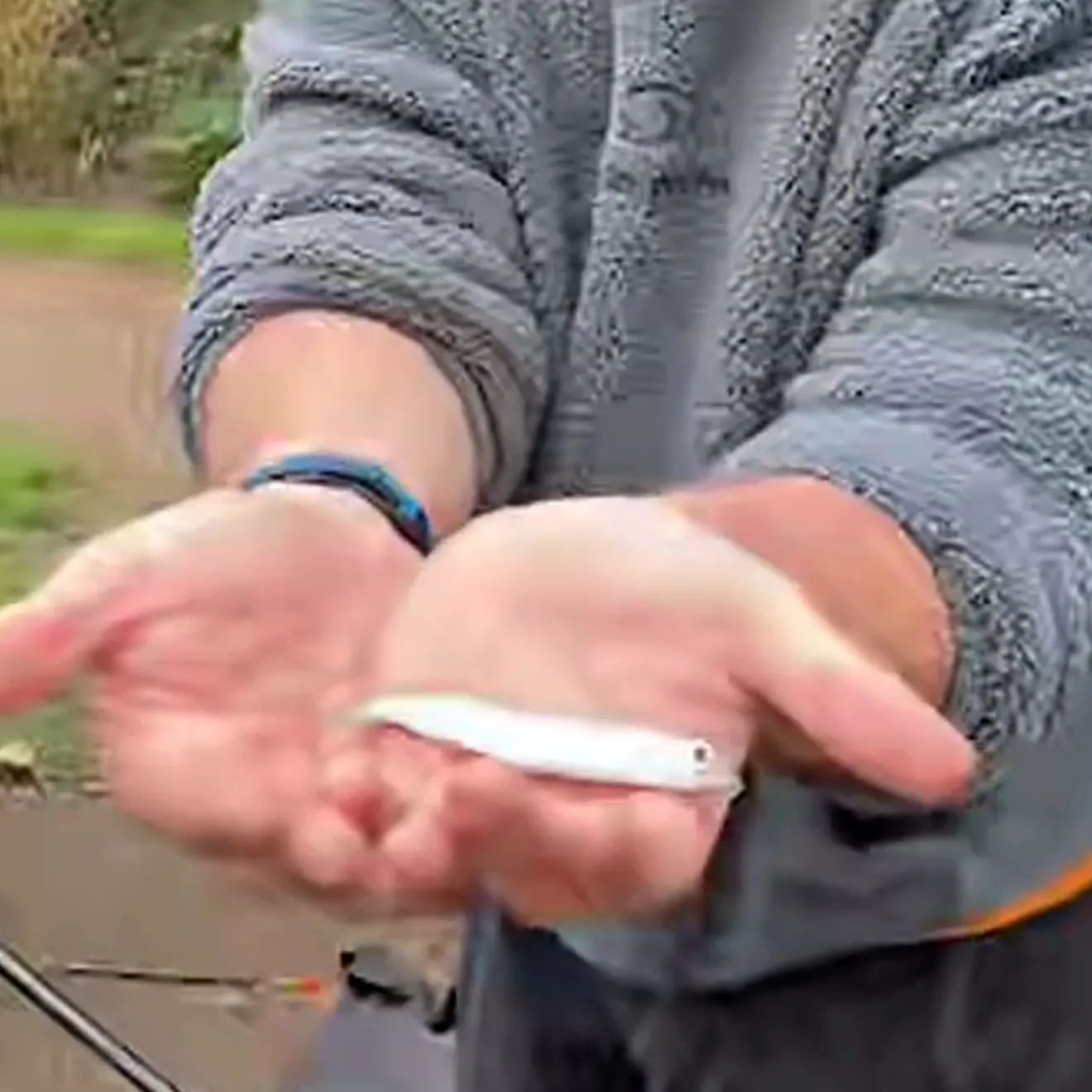 European chub caught on Fishbrain