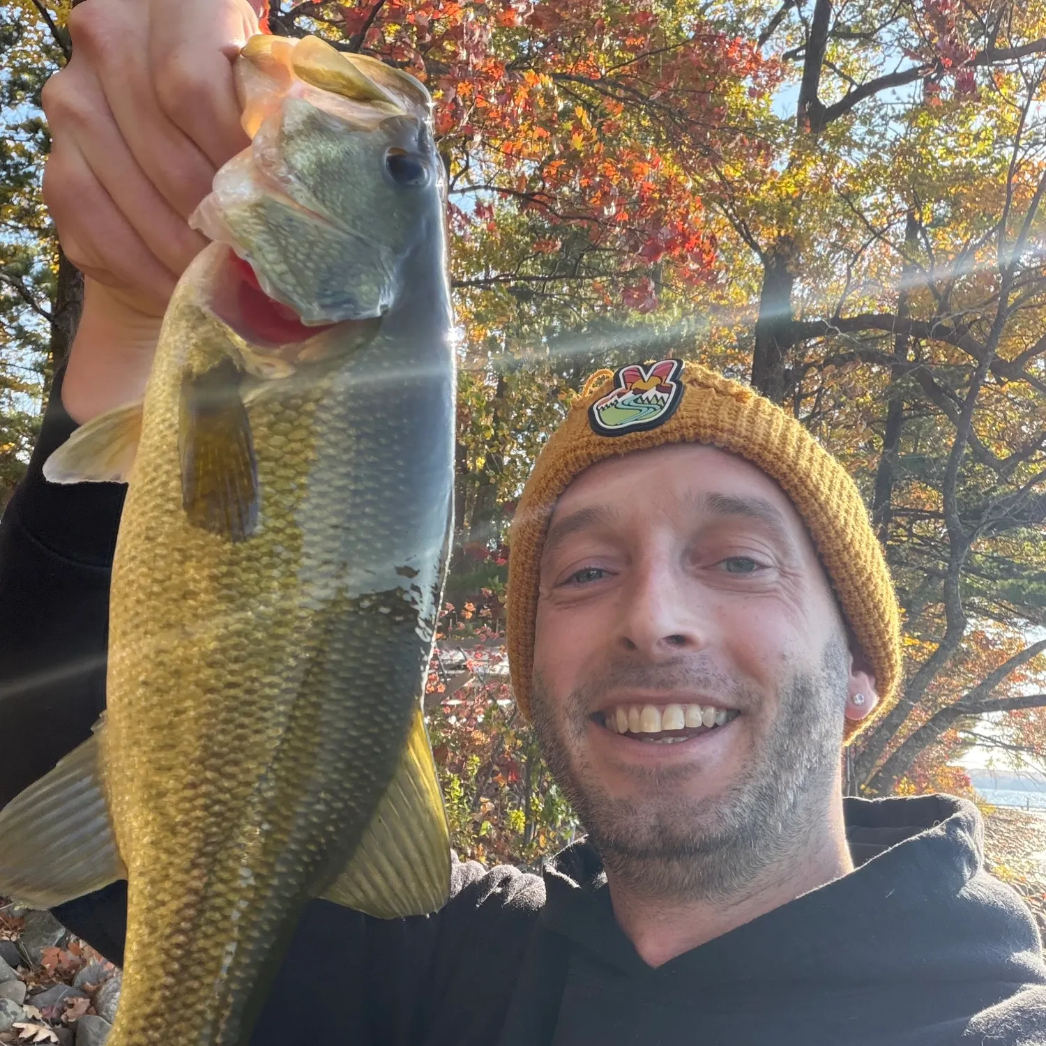 Largemouth bass caught on Fishbrain