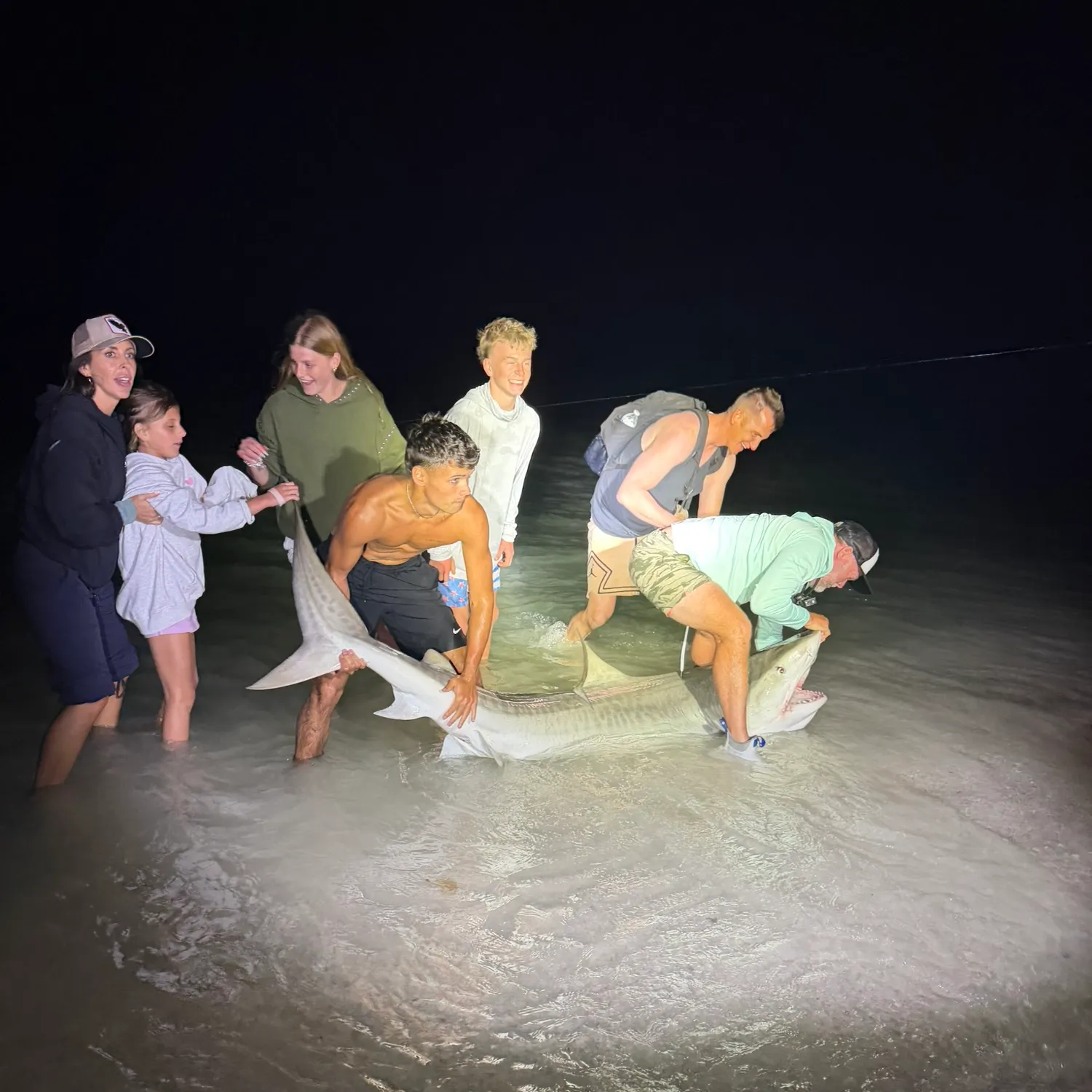 The most recent Tiger shark catches on Fishbrain