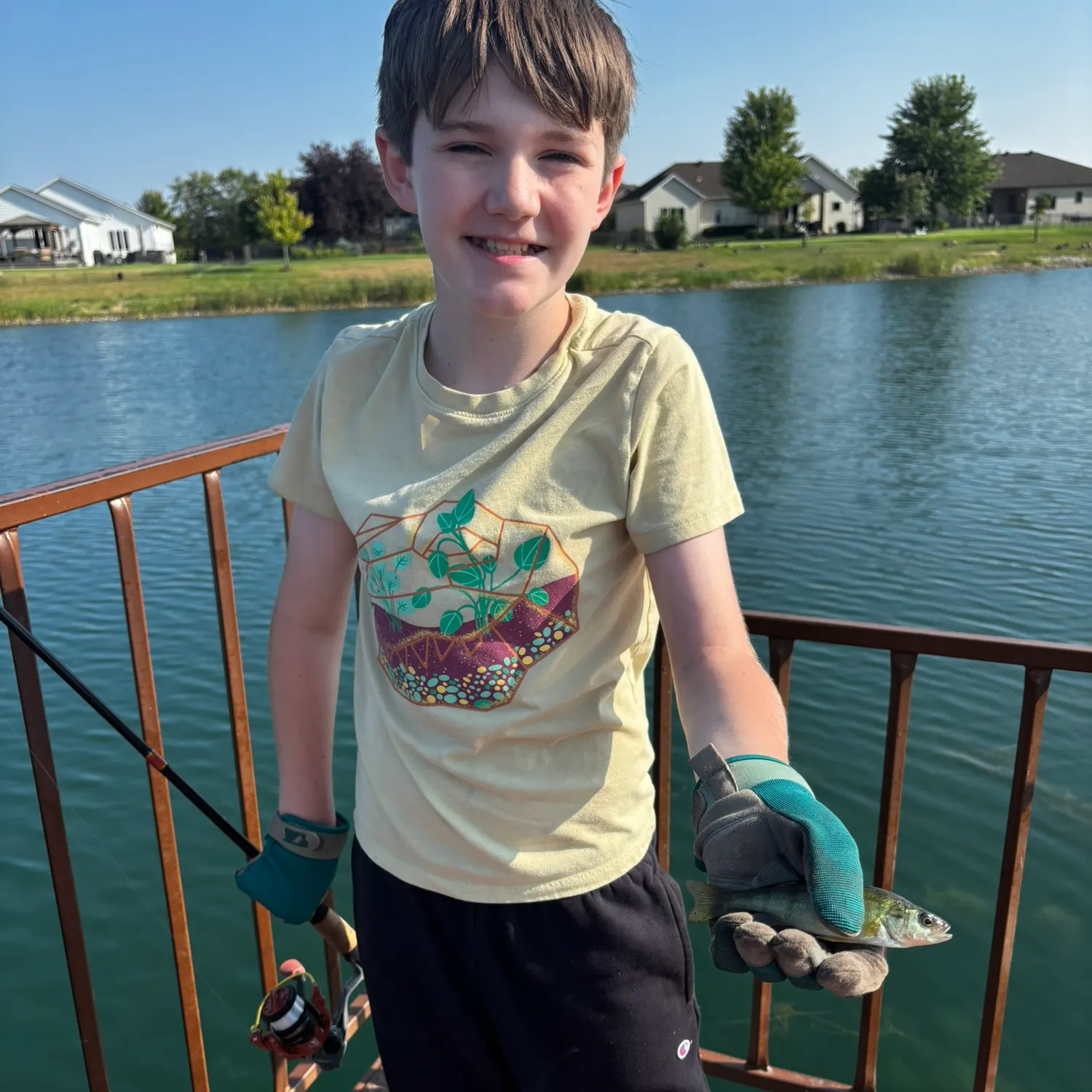 Yellow perch caught on Fishbrain