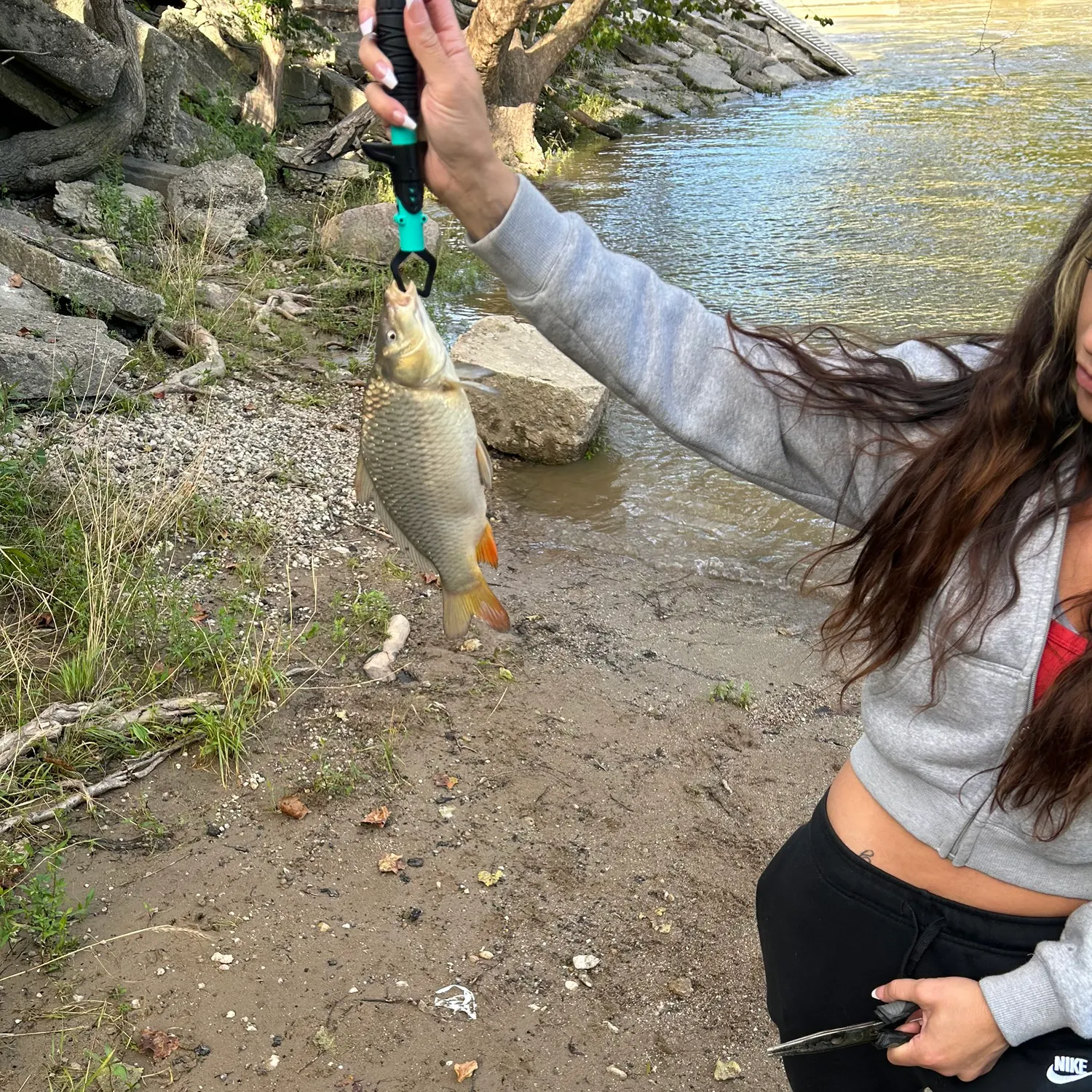 Common carp caught on Fishbrain