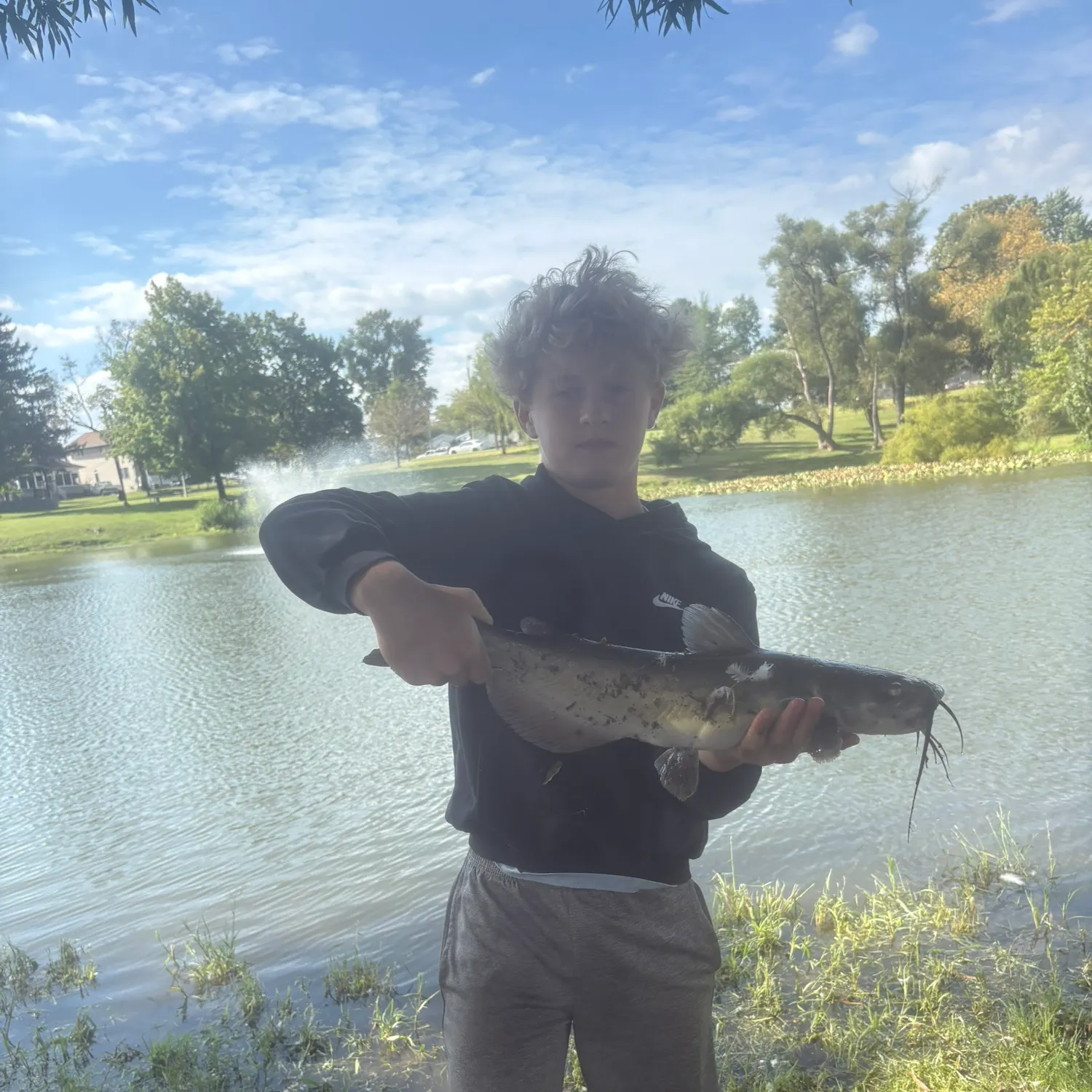 Channel catfish caught on Fishbrain