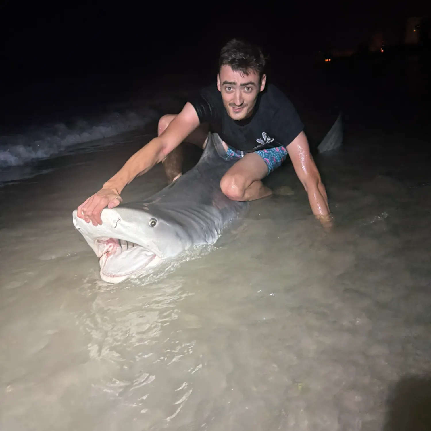 The most recent Tiger shark catches on Fishbrain