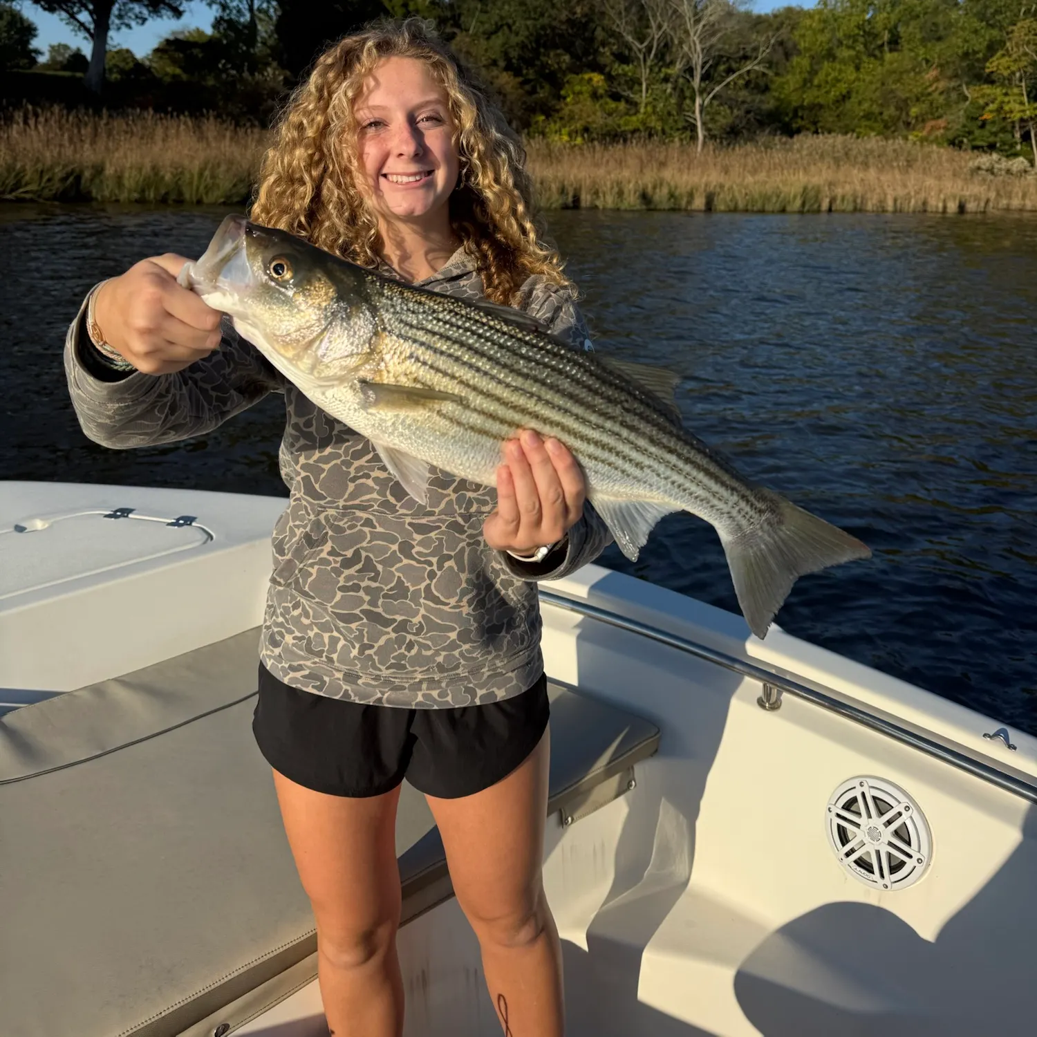 Striped bass caught on Fishbrain