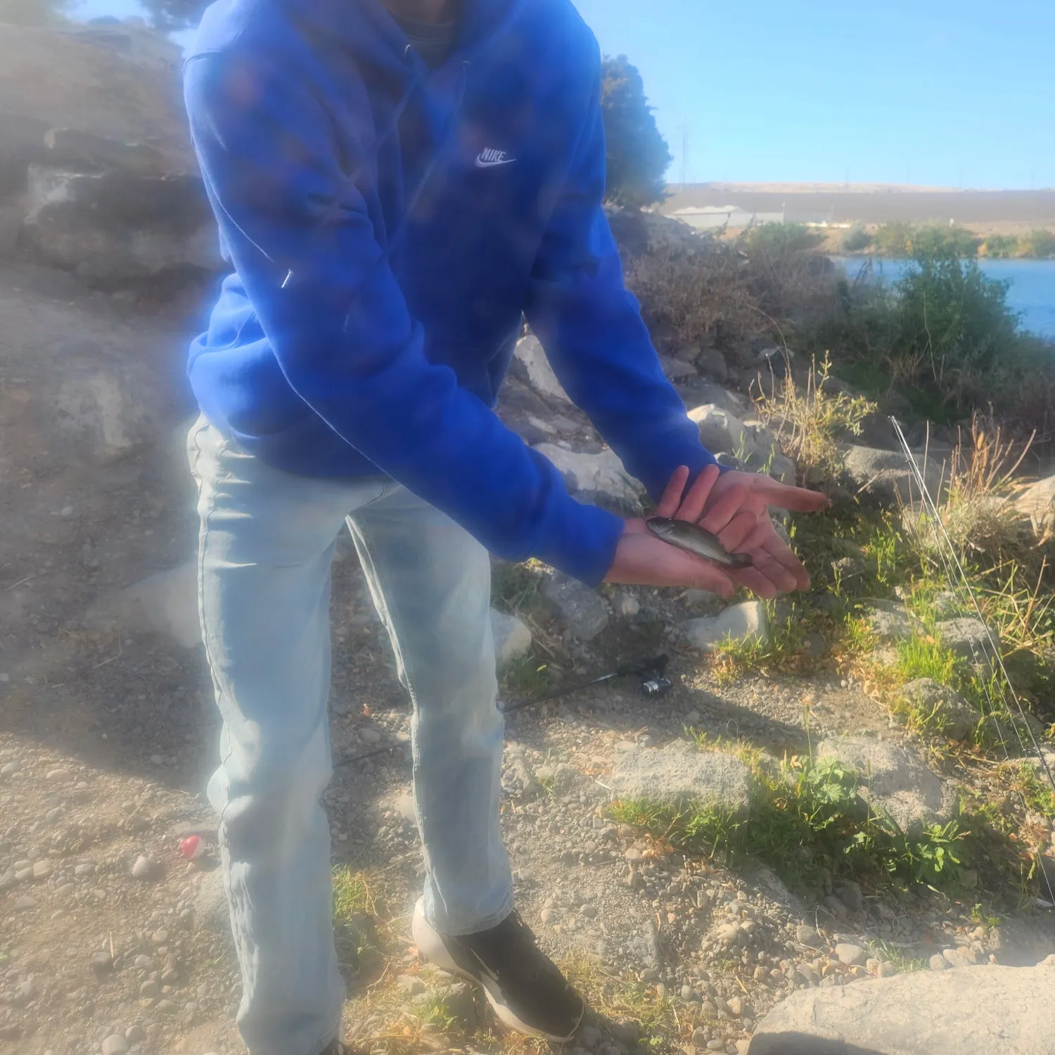 Smallmouth bass caught on Fishbrain