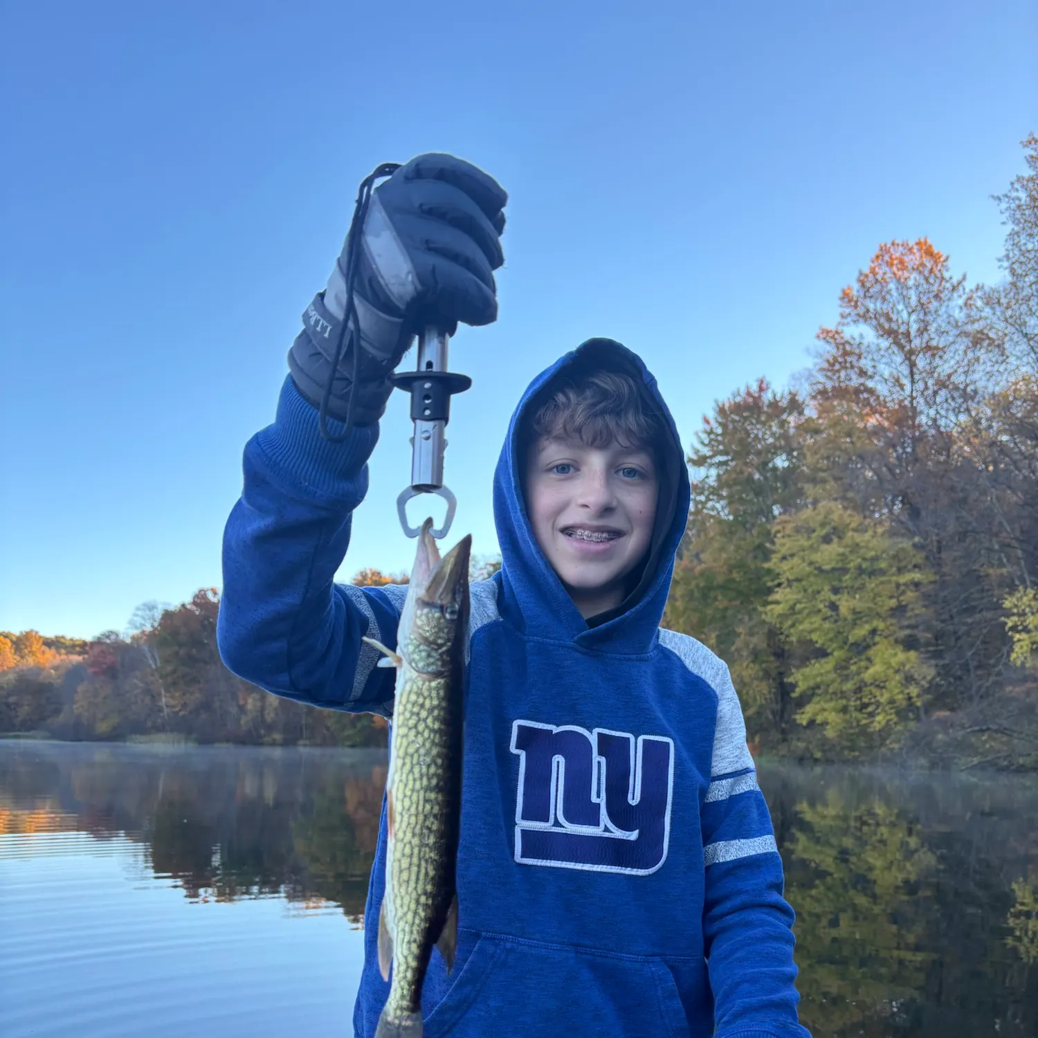 Chain pickerel caught on Fishbrain