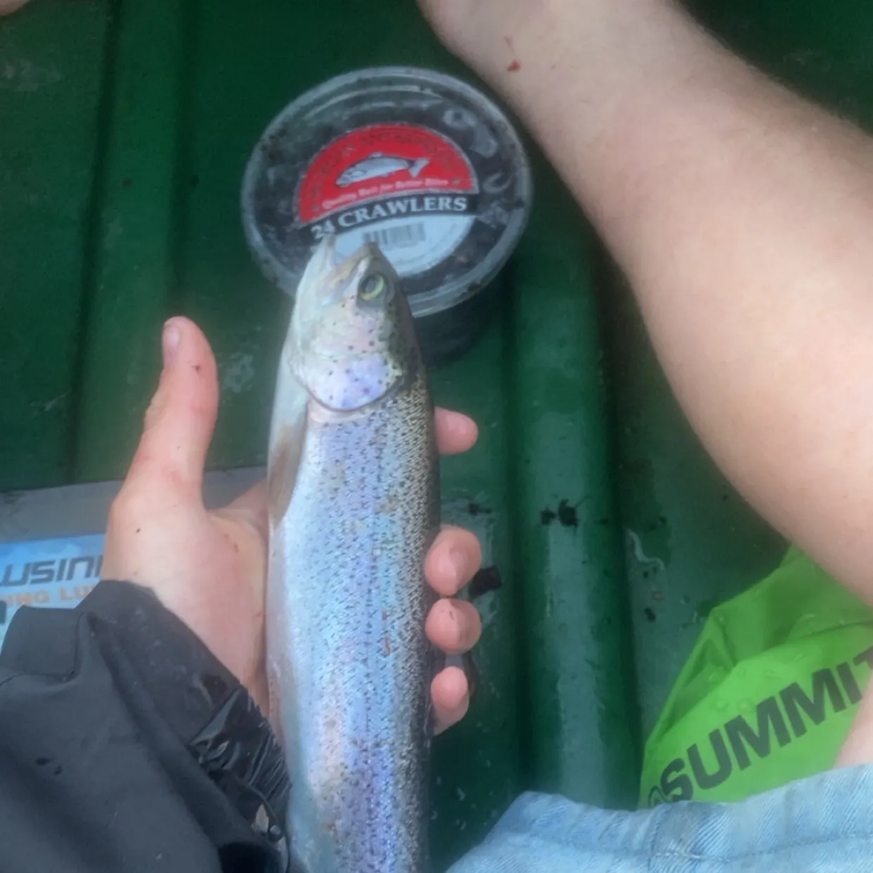 Rainbow trout caught on Fishbrain